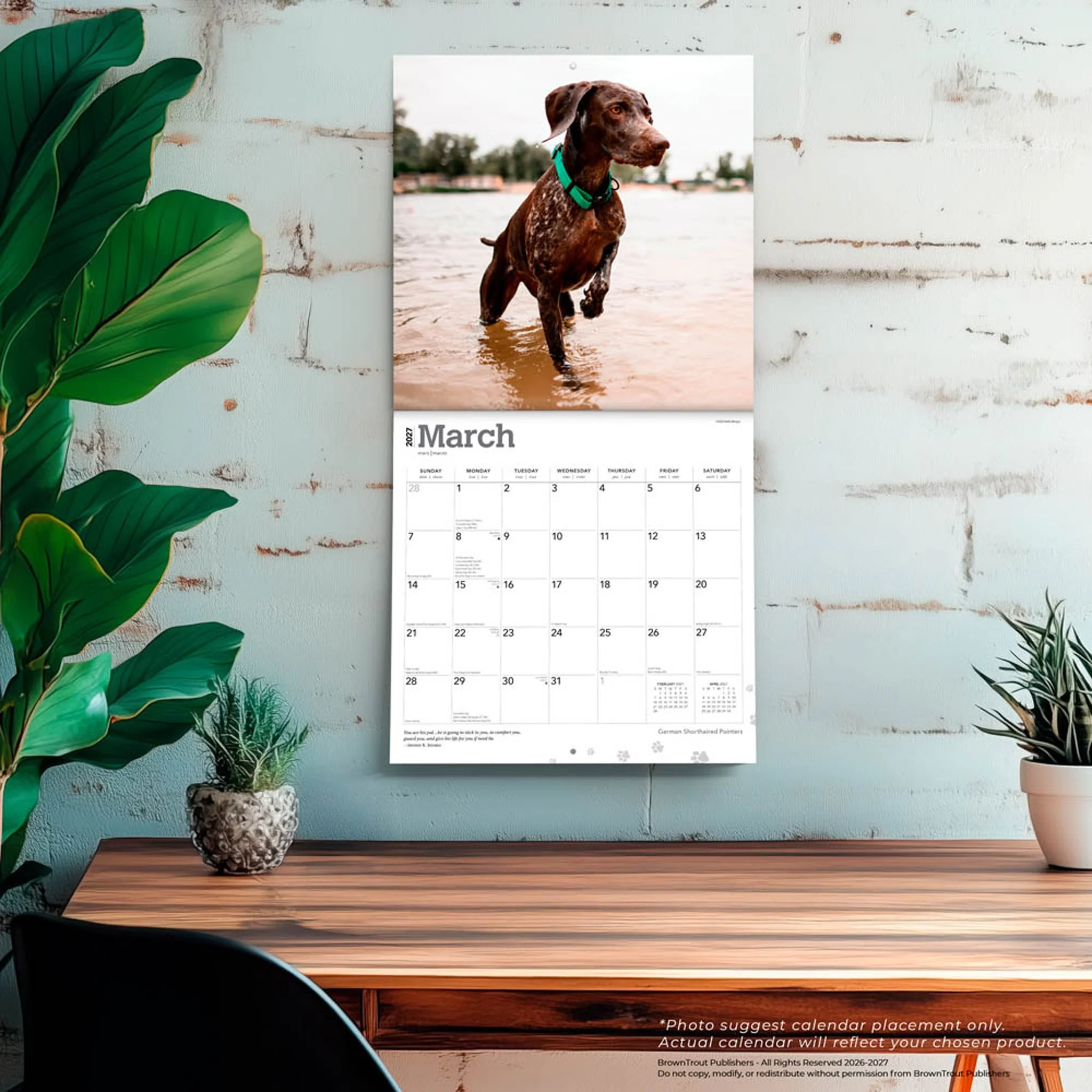 German Shorthaired Pointers 2027 Wall Calendar - Image 5