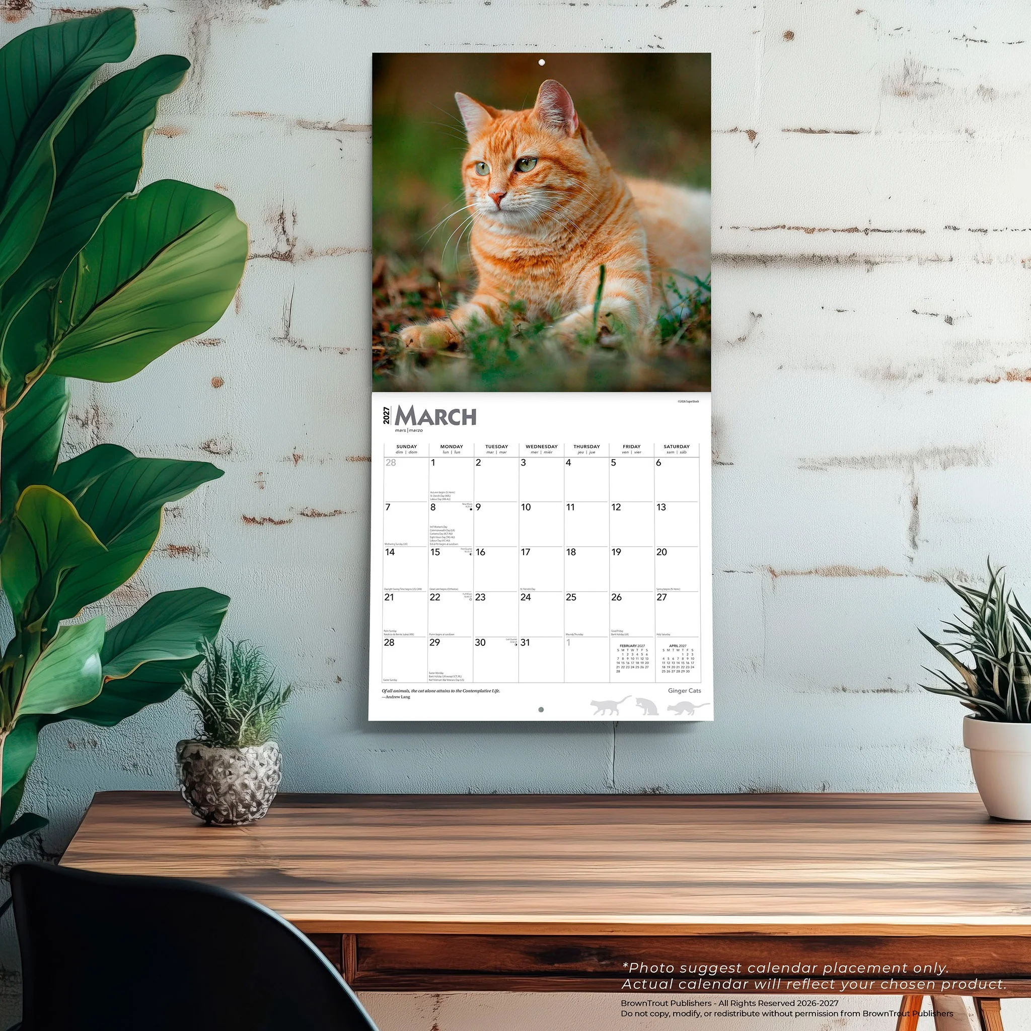 Ginger Cats 2027 Wall Calendar - Image 5