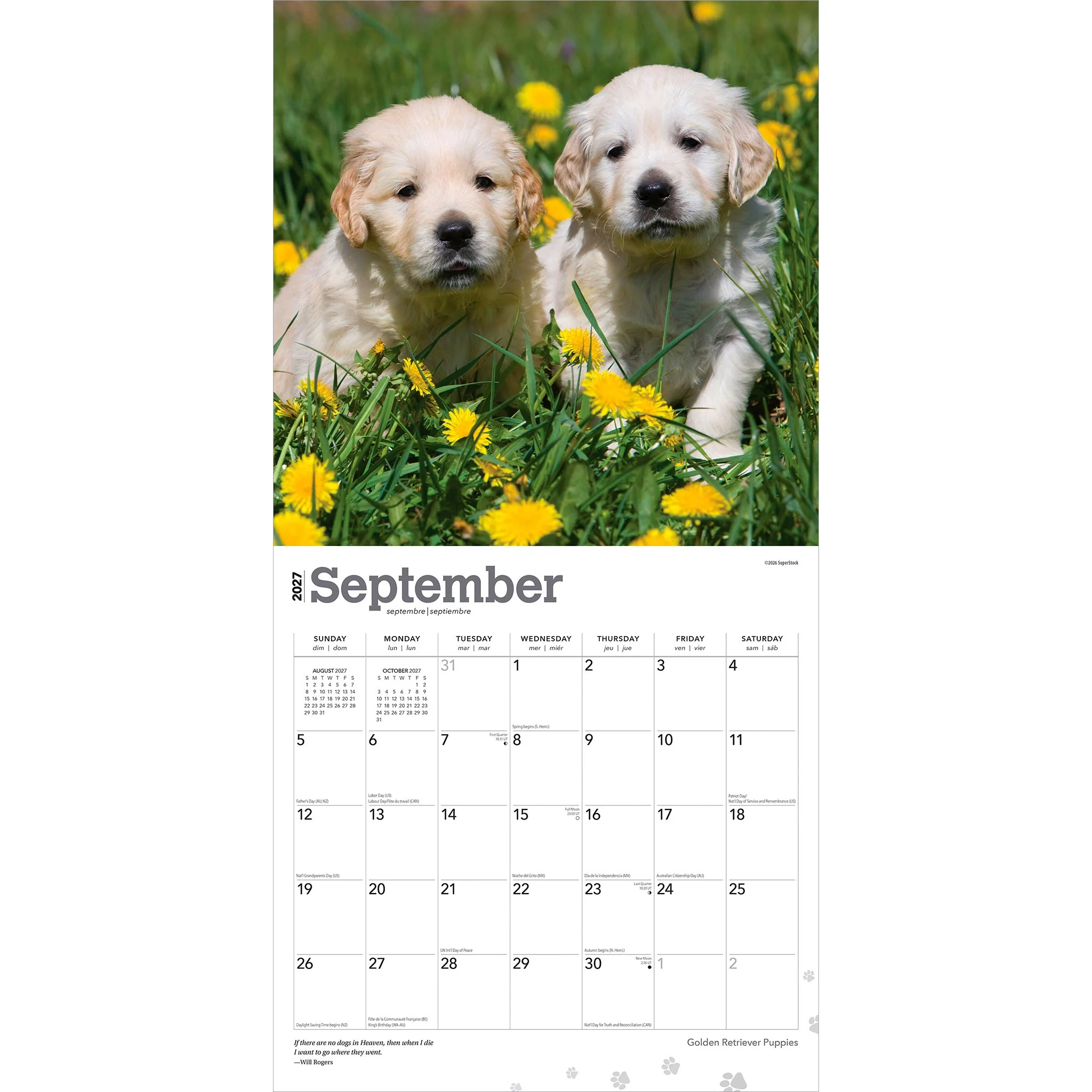 Golden Retriever Puppies 2027 Wall Calendar - Image 4