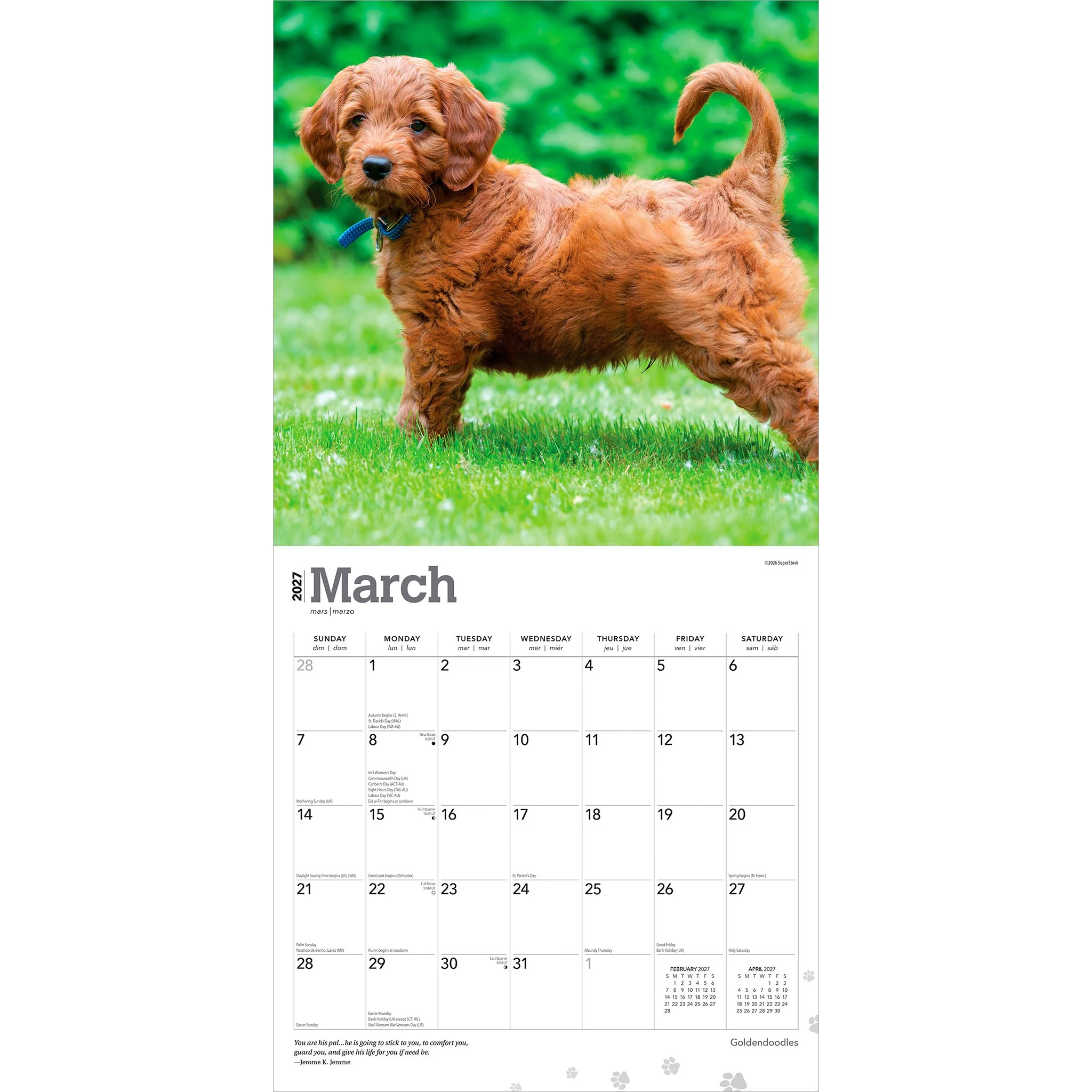 Goldendoodles 2027 Wall Calendar - Image 3