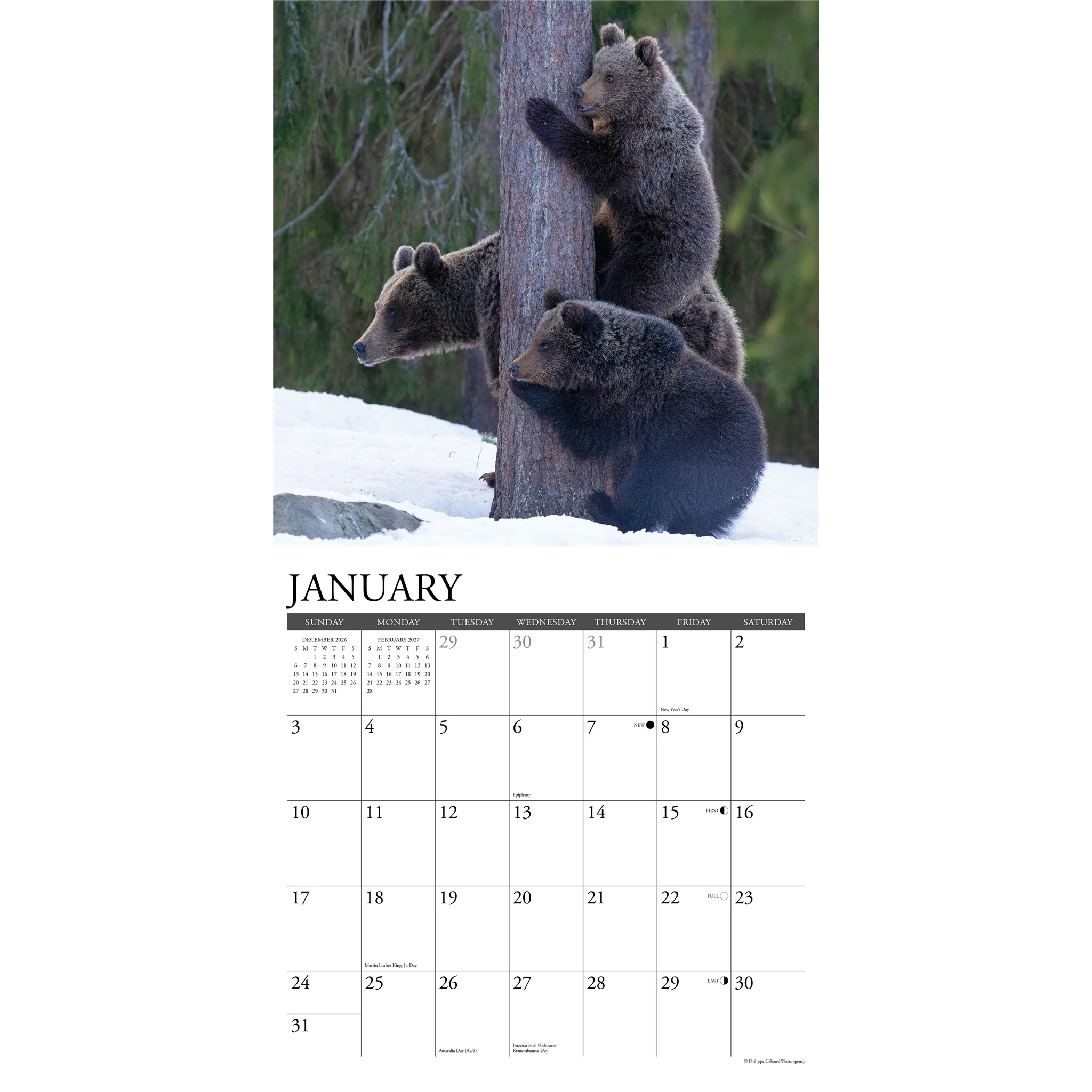 Grizzlies 2027 Wall Calendar - Image 3