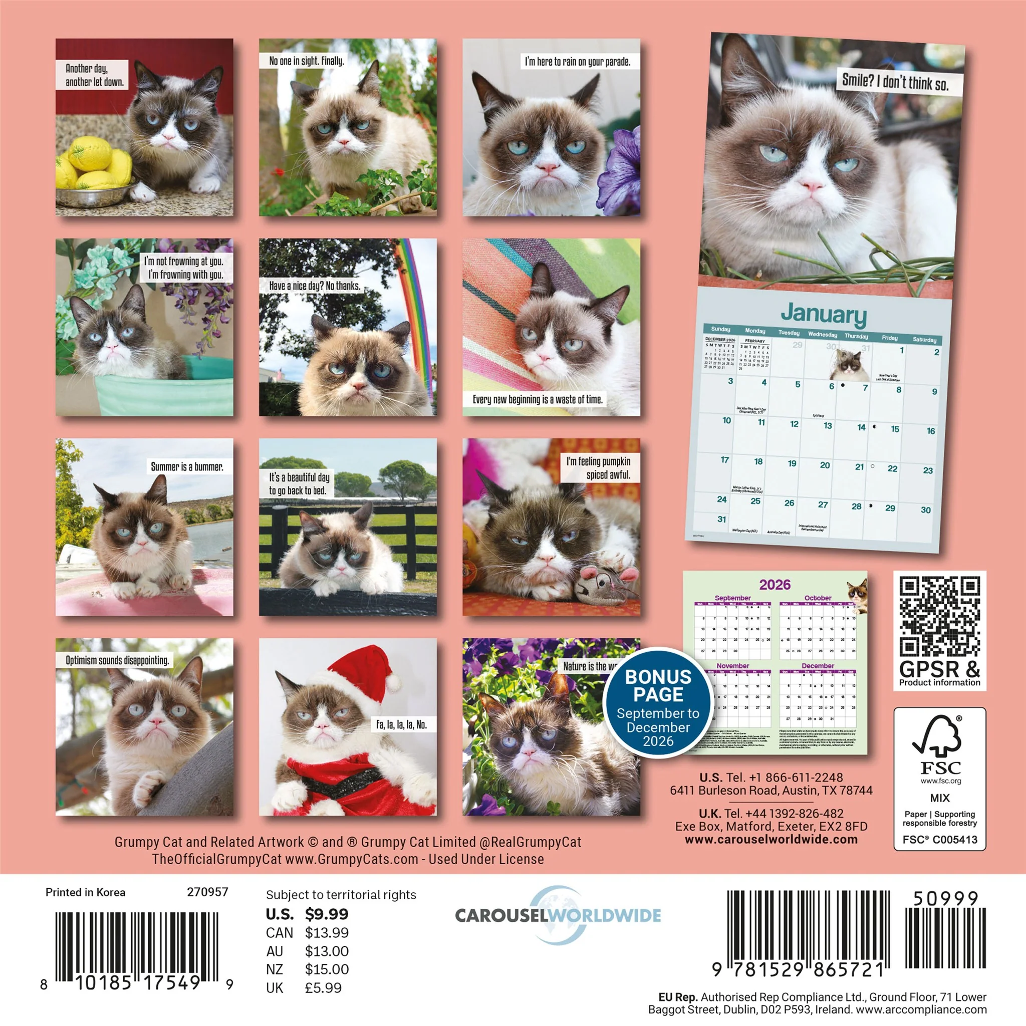 Grumpy Cat 2027 Mini Calendar - Image 2