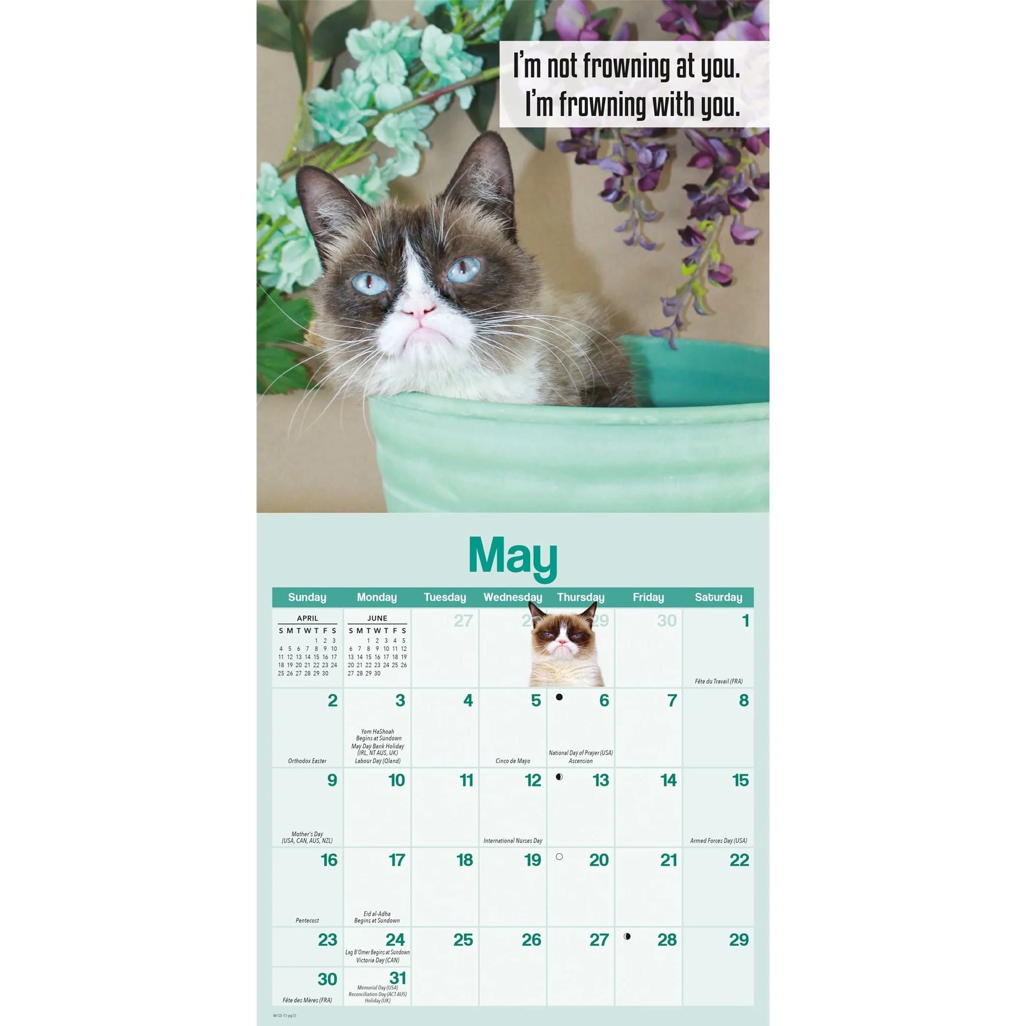 Grumpy Cat 2027 Mini Calendar - Image 4