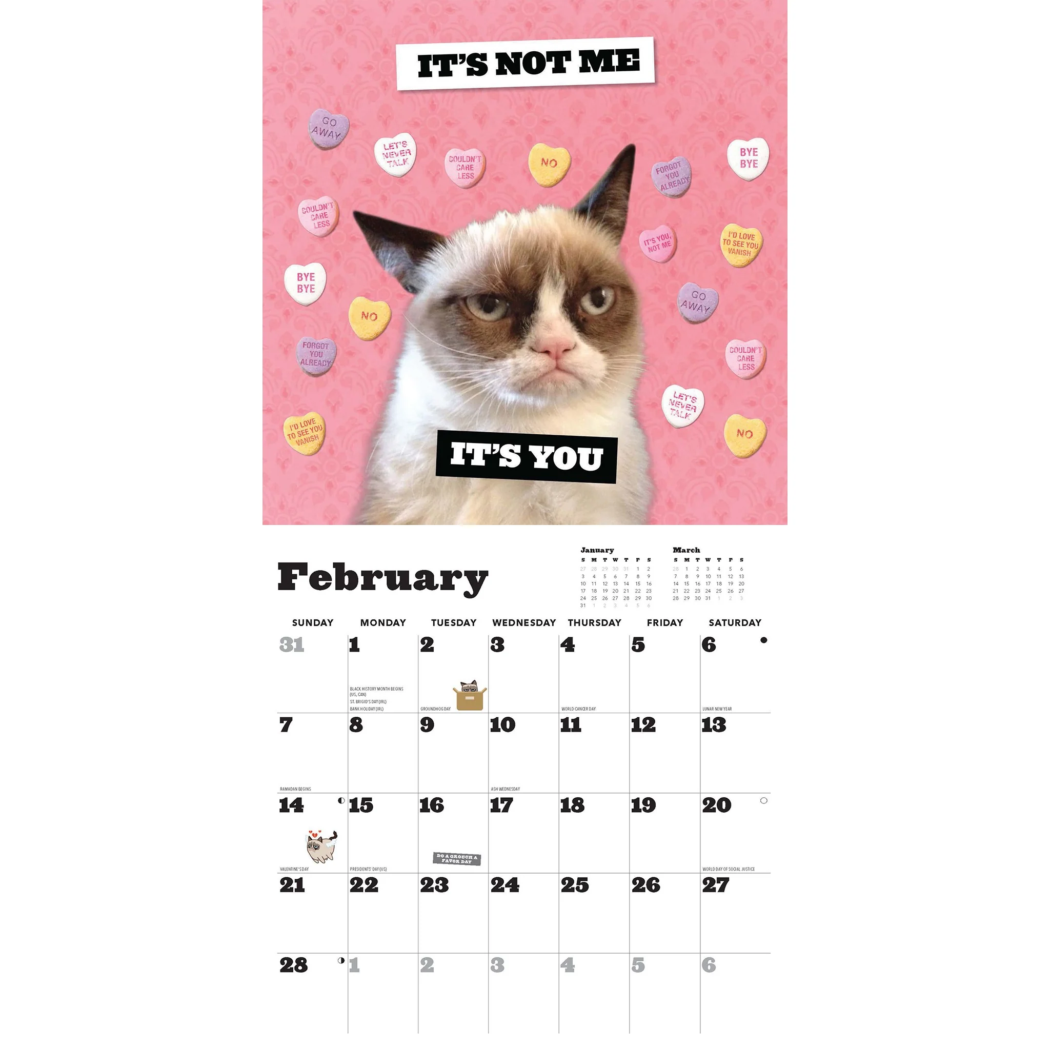 Grumpy Cat 2027 Wall Calendar - Image 5