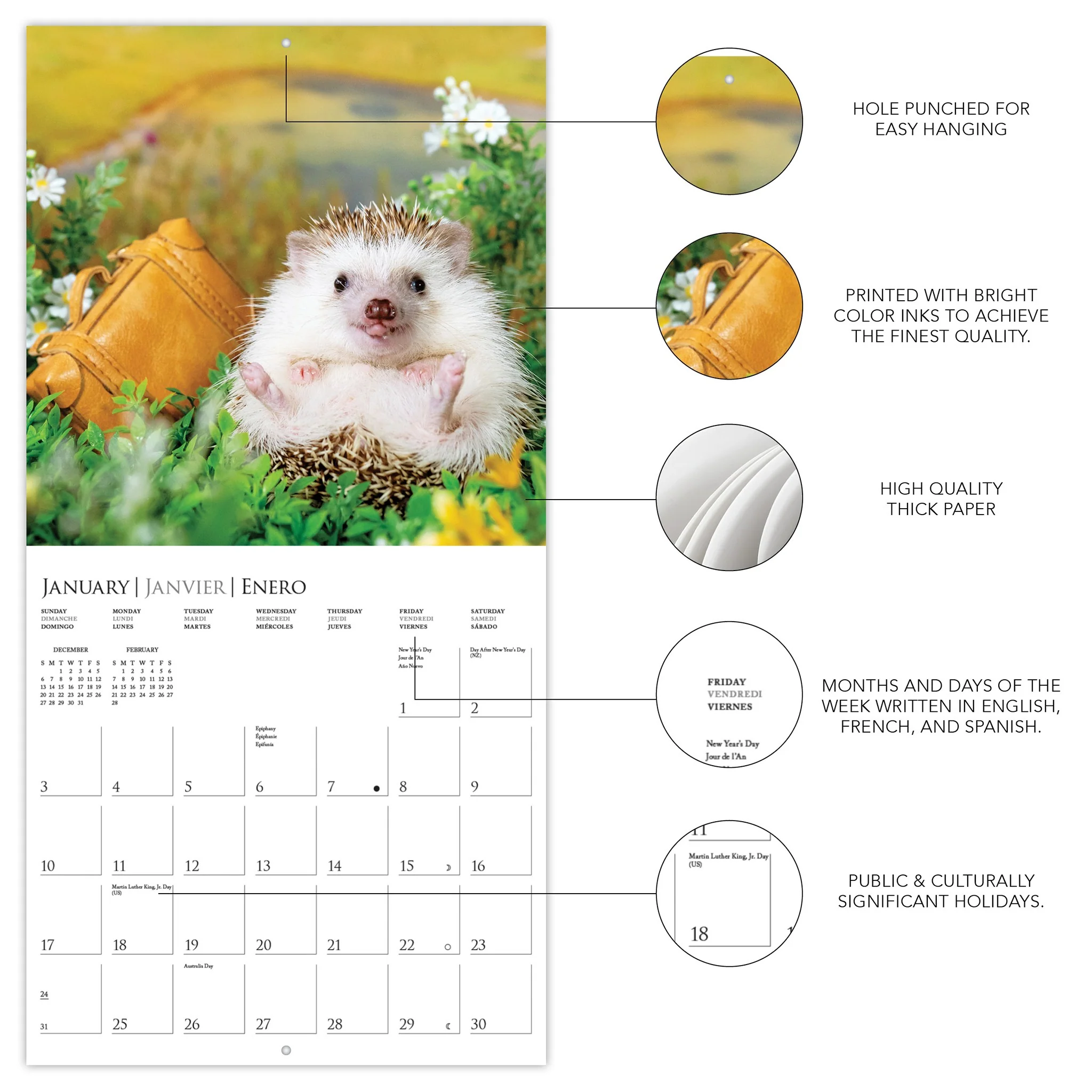 Happiest Hedgehogs 2027 Mini Calendar - Image 3