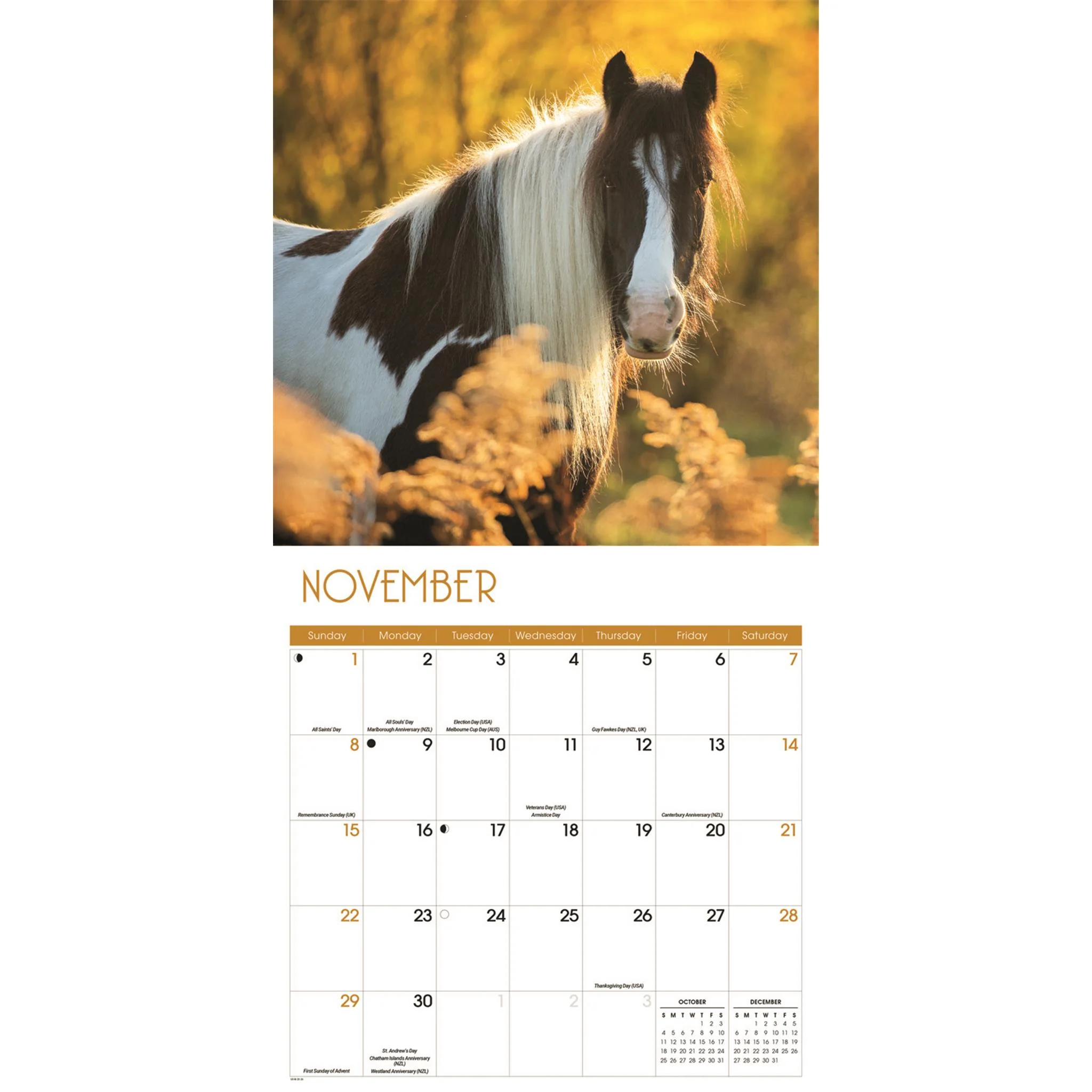 Horses 2026 Wall Calendar - Image 5