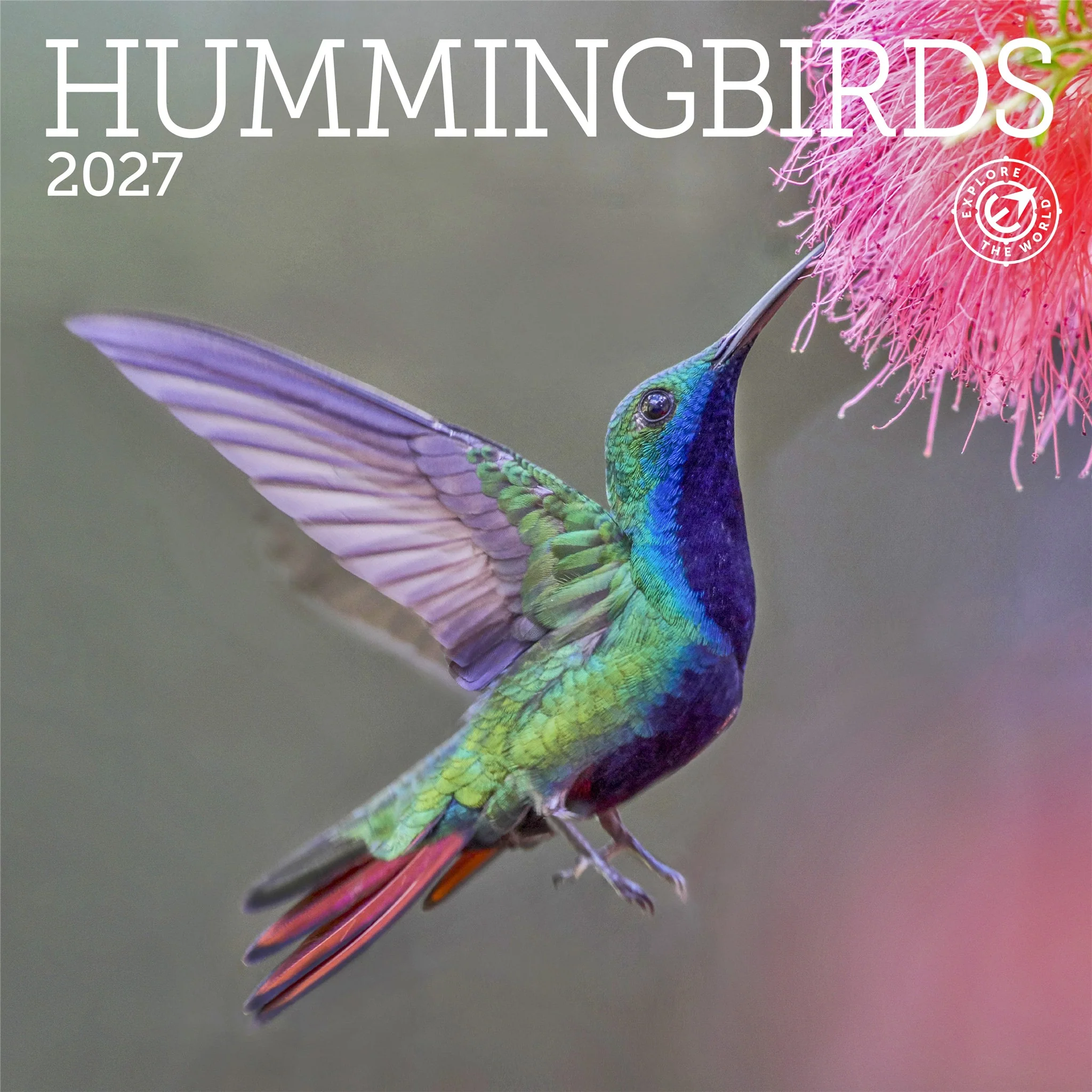 Hummingbirds 2027 Mini Calendar