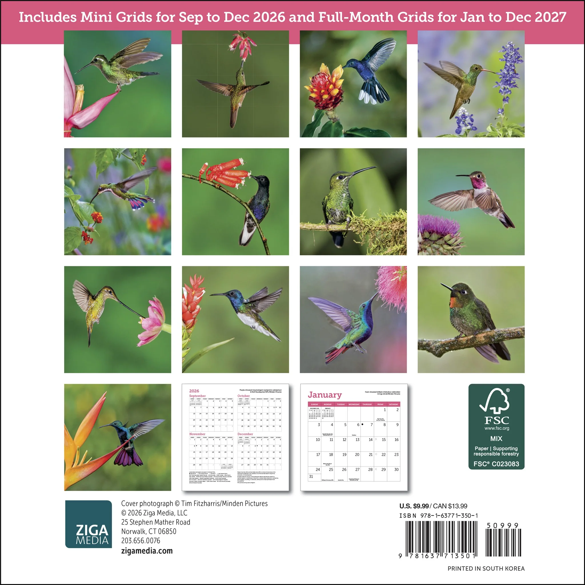 Hummingbirds 2027 Mini Calendar - Image 2