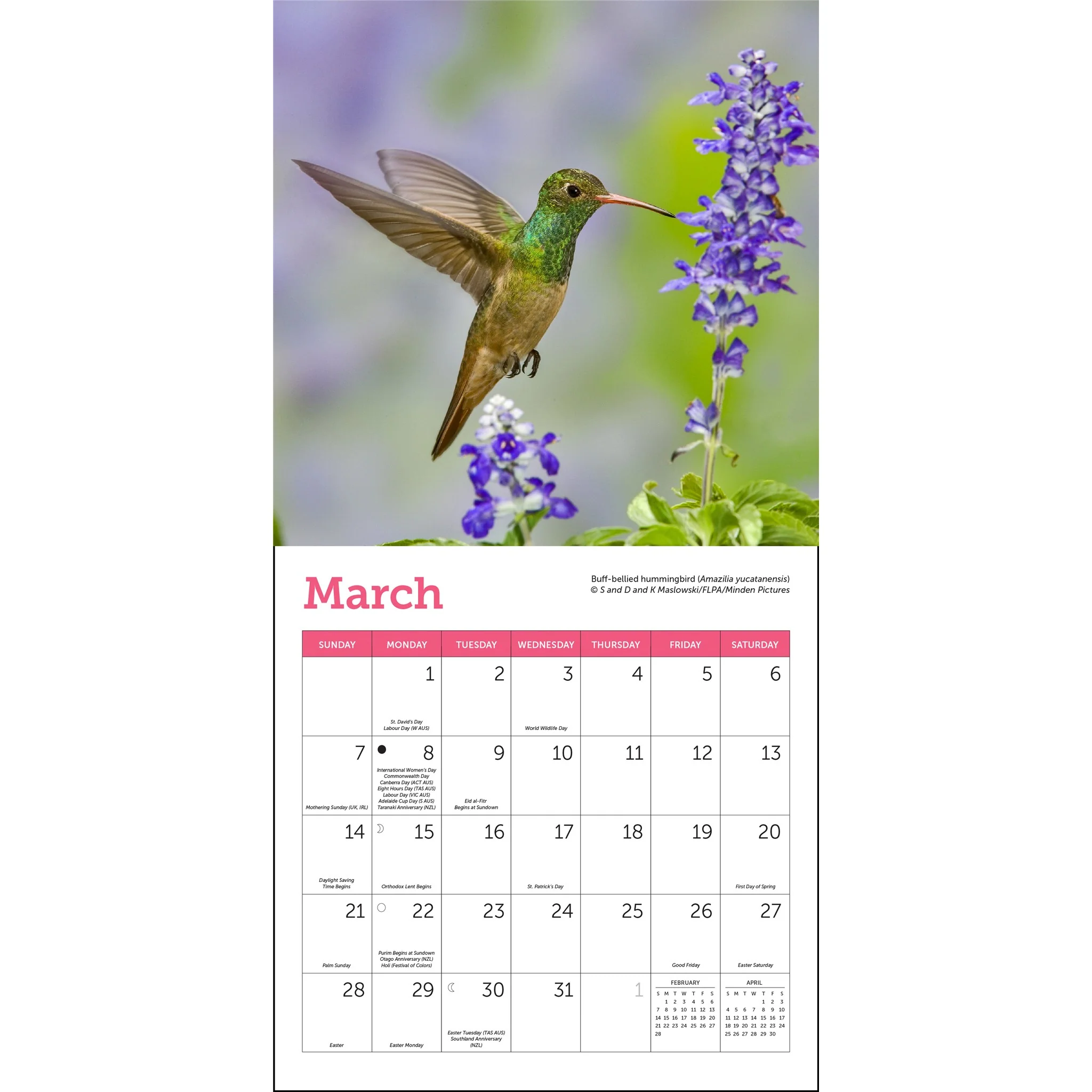 Hummingbirds 2027 Mini Calendar - Image 3
