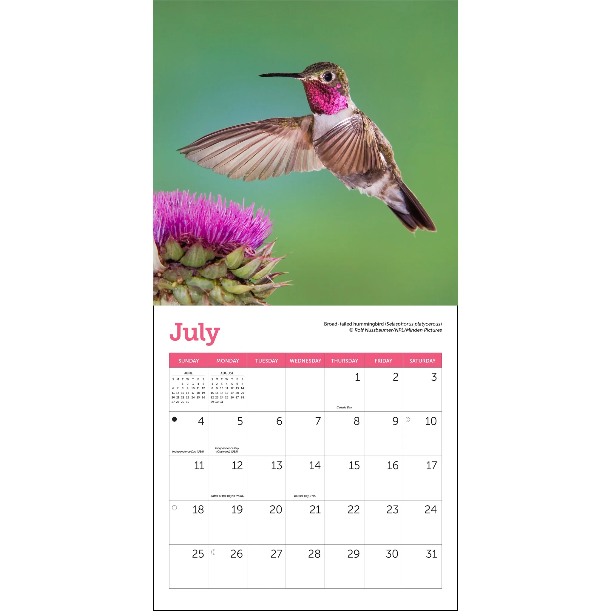 Hummingbirds 2027 Mini Calendar - Image 5