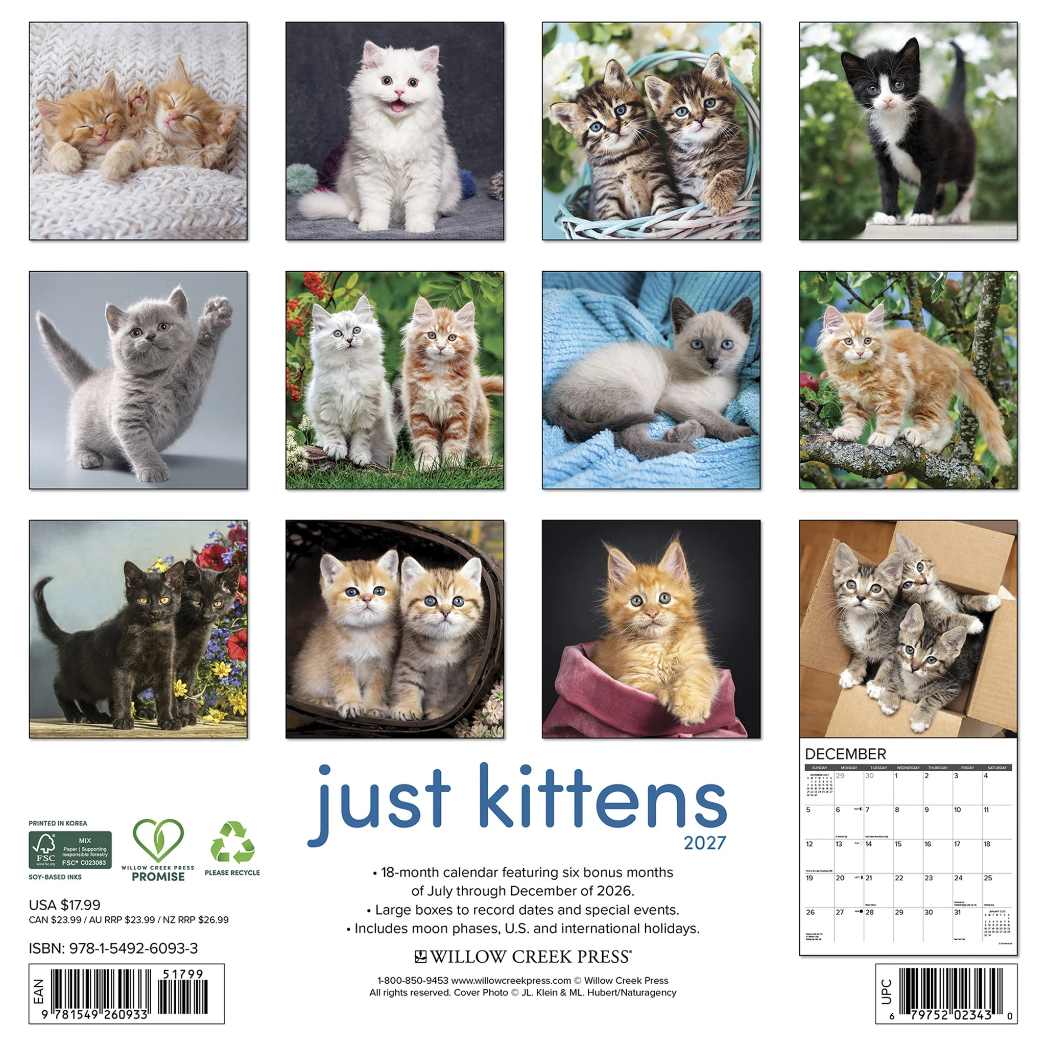 Kittens 2027 Wall Calendar - Image 2