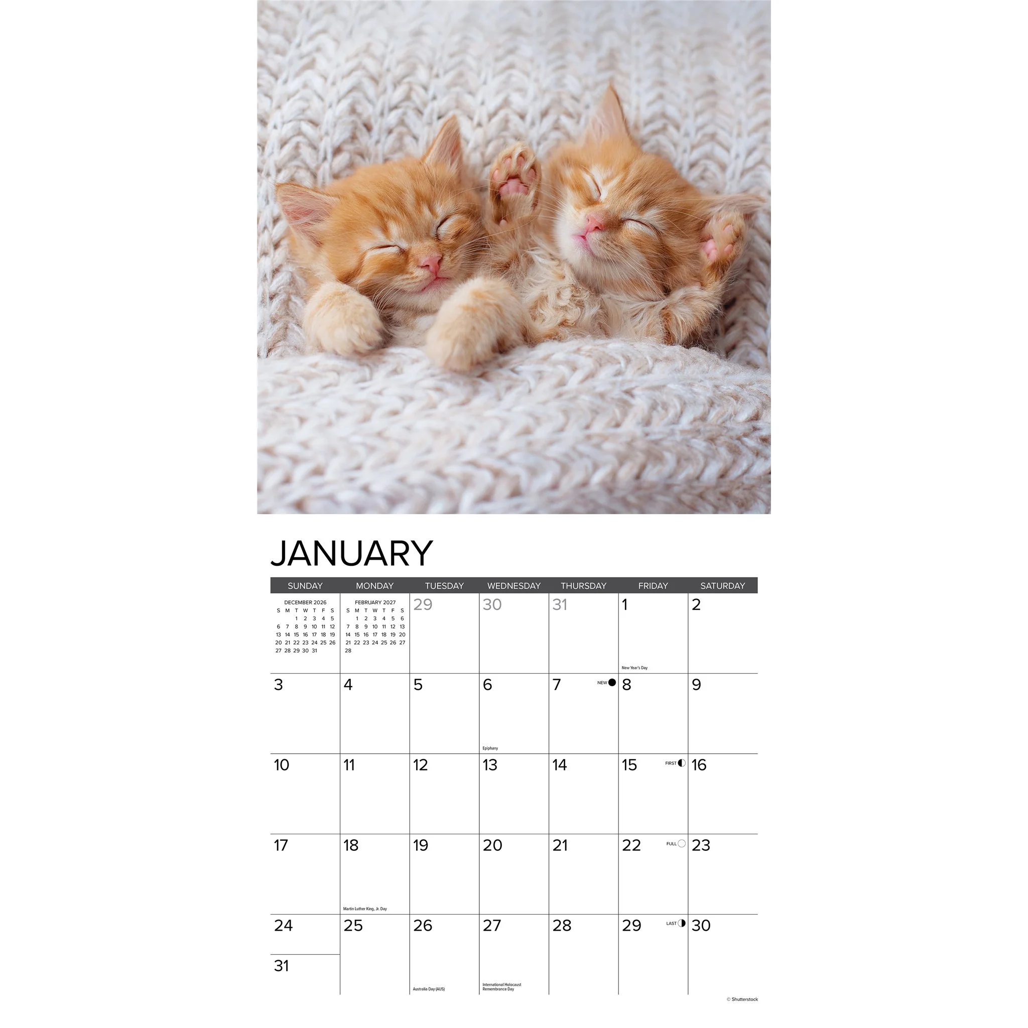 Kittens 2027 Wall Calendar - Image 3