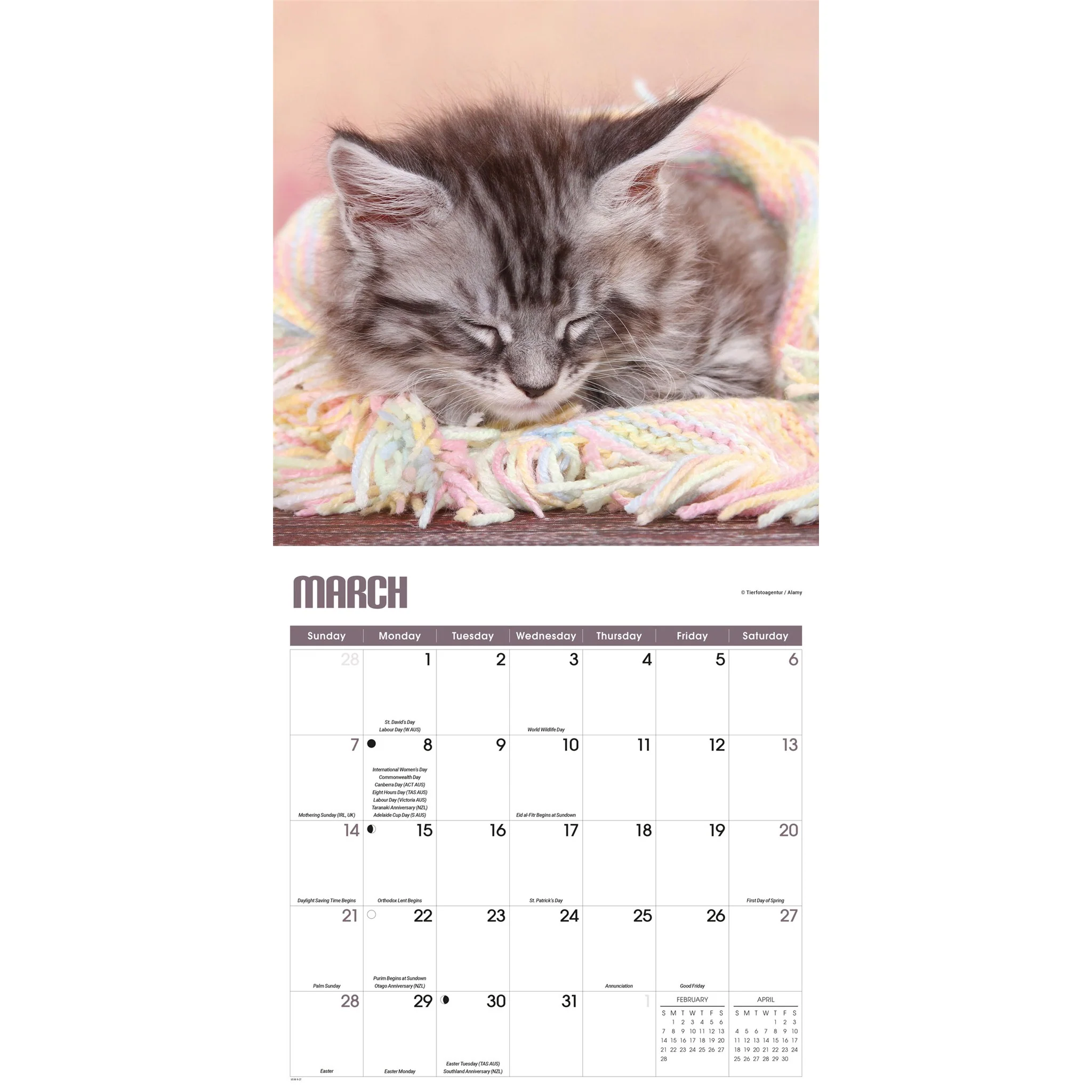 Kitty Naps 2027 Wall Calendar - Image 3