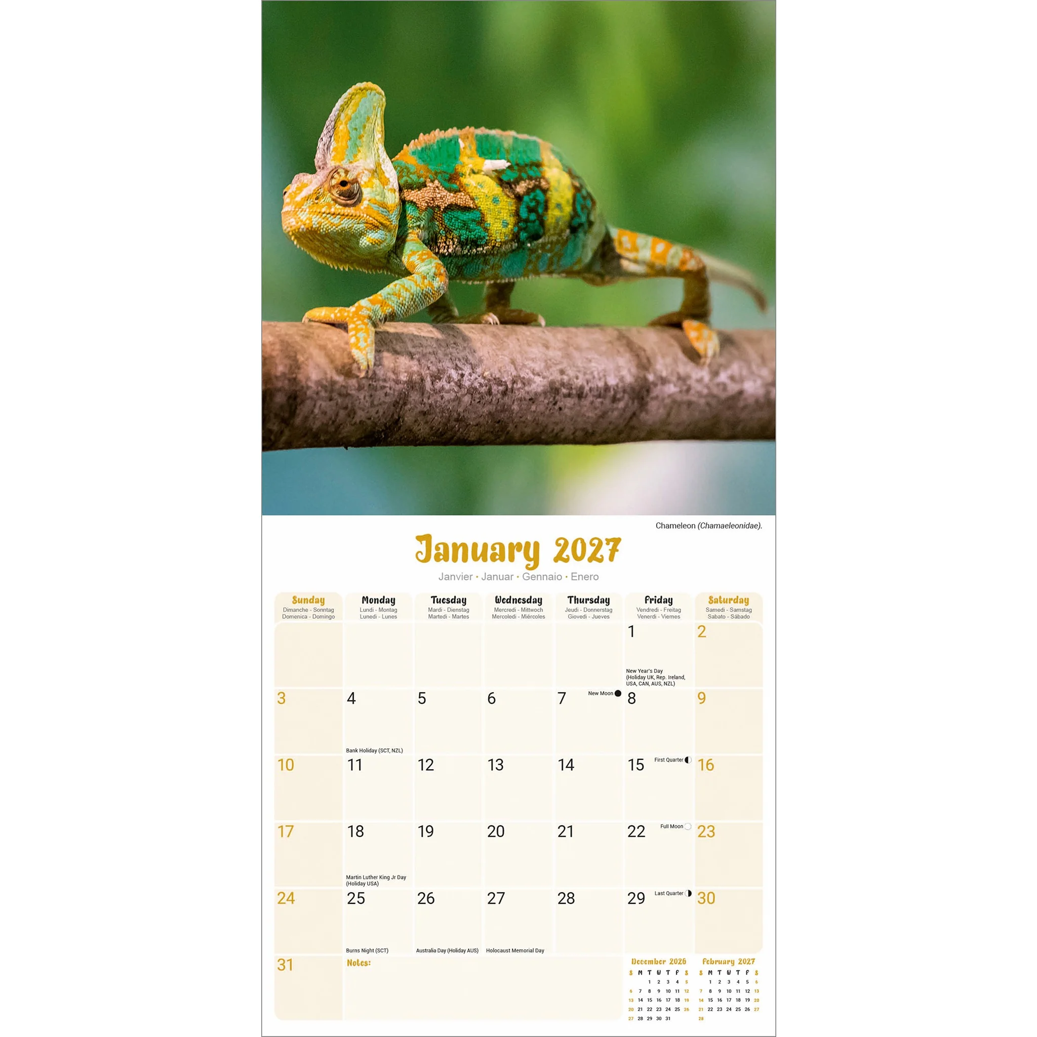 Lizards 2027 Wall Calendar - Image 3