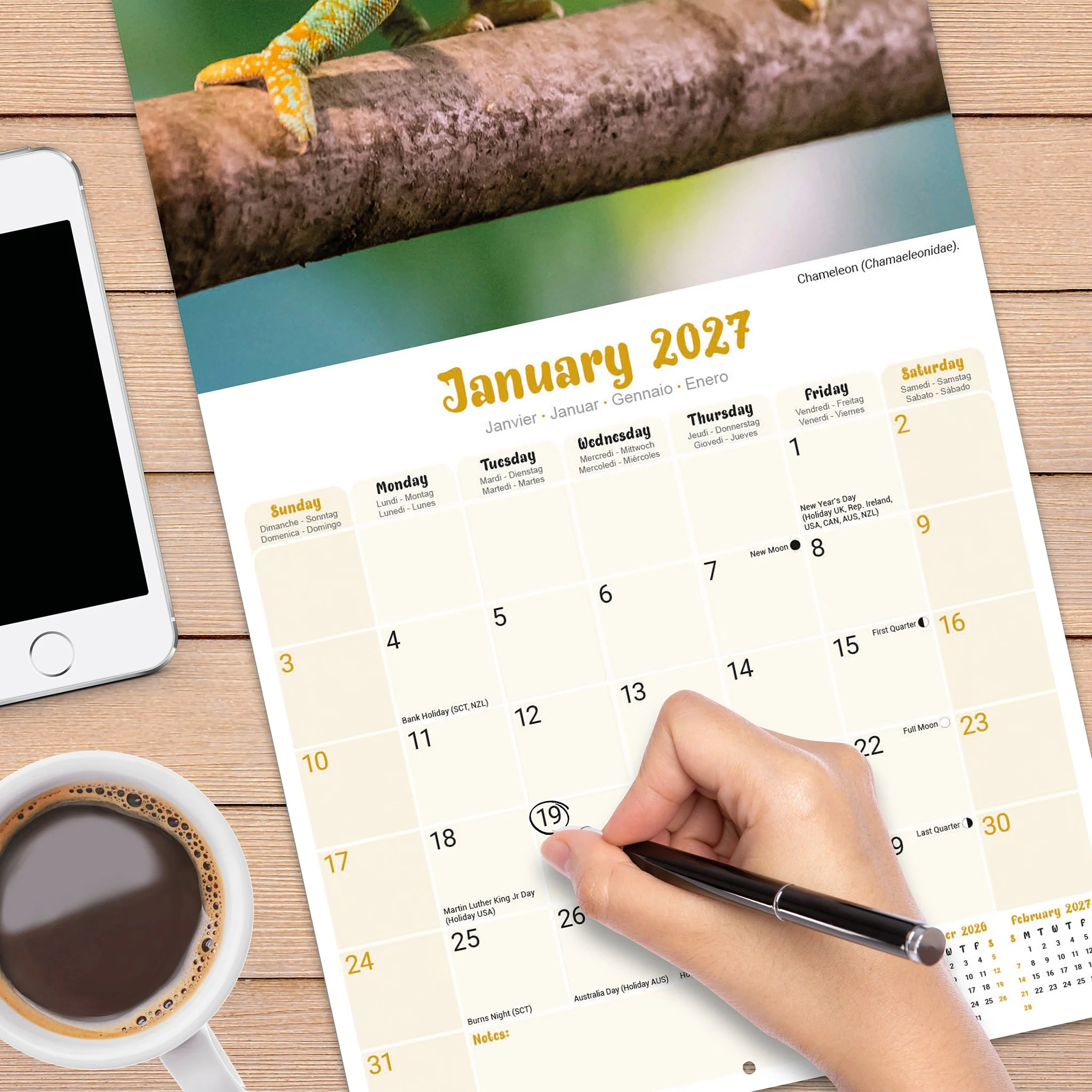 Lizards 2027 Wall Calendar - Image 4