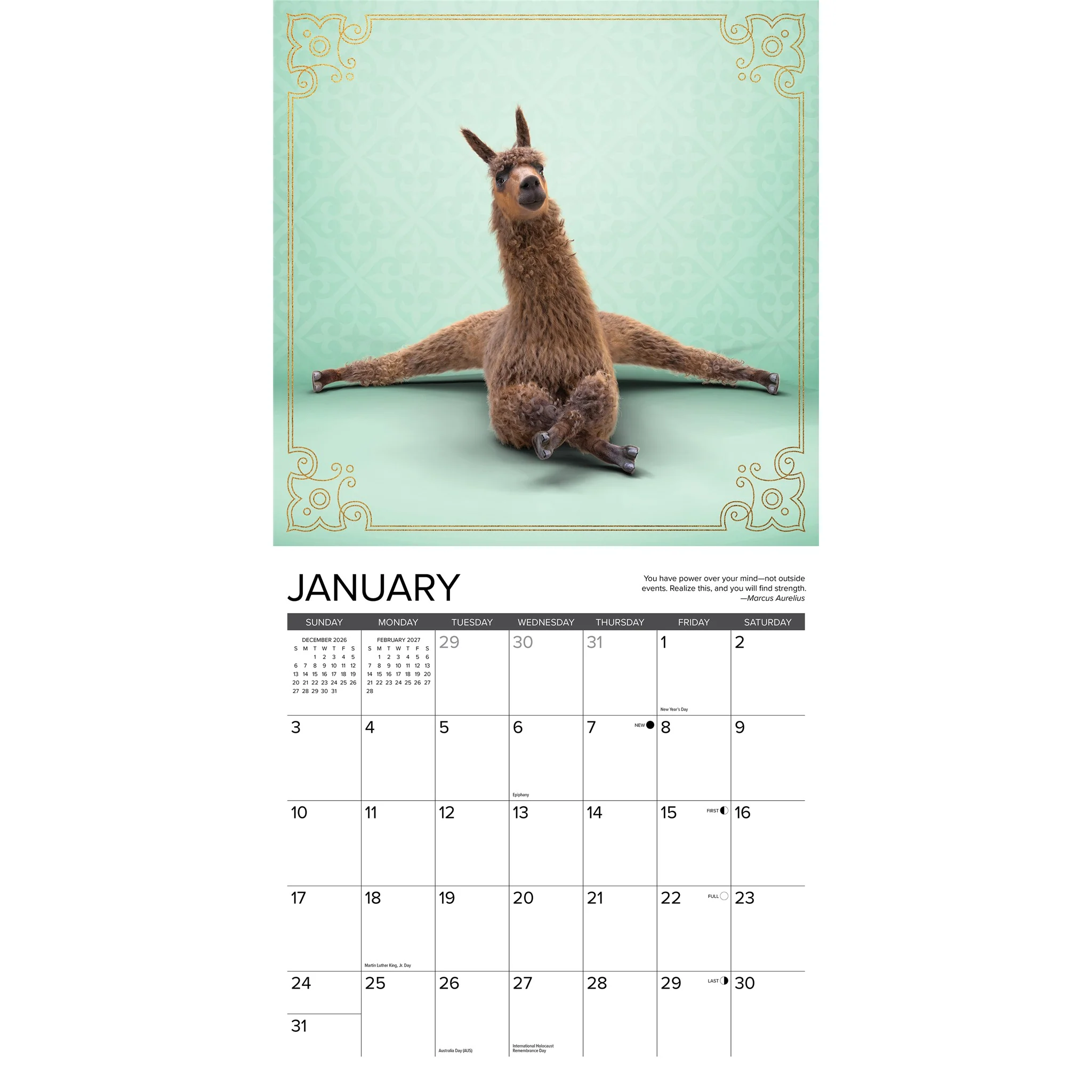 Llama Yoga 2027 Wall Calendar - Image 3