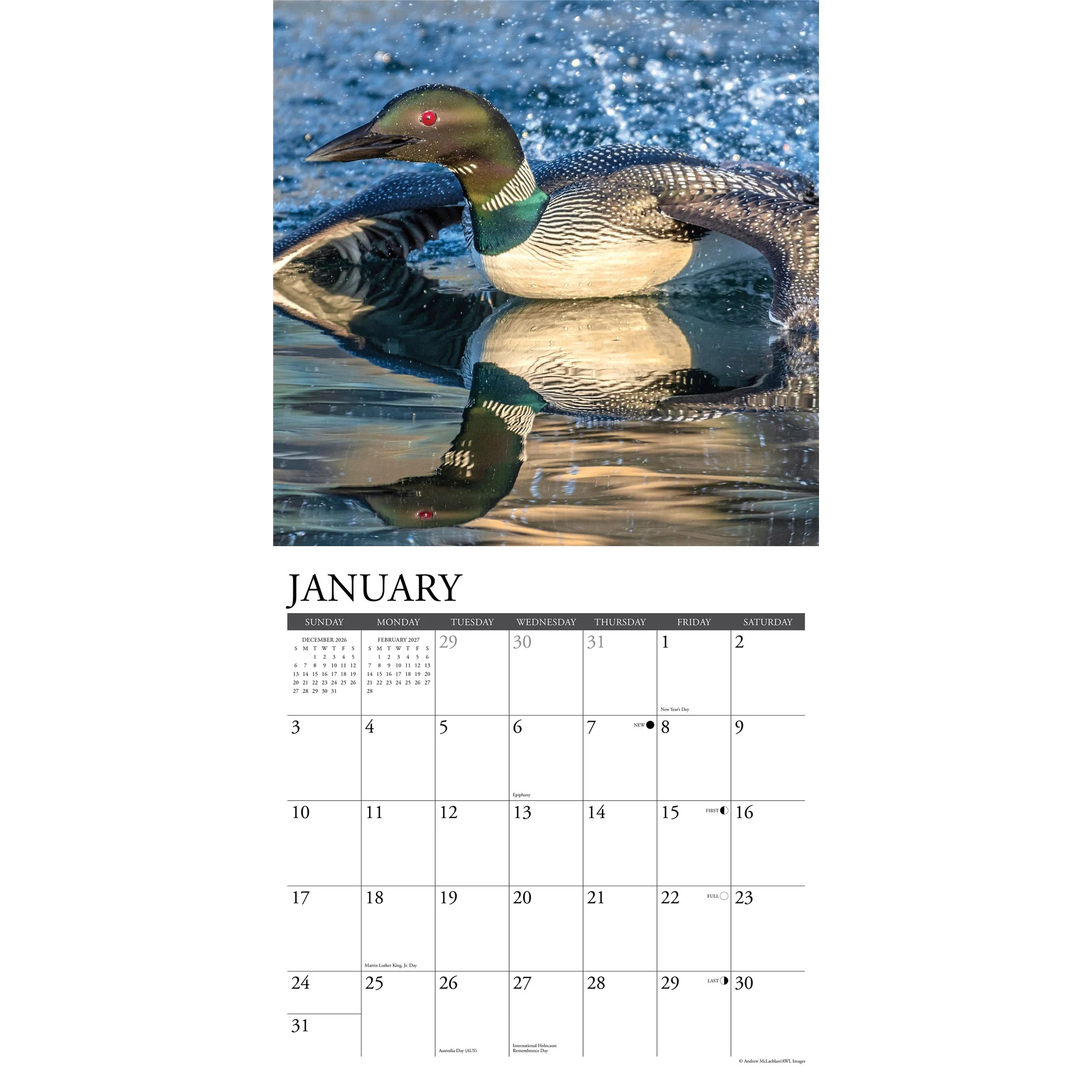 Loons 2027 Wall Calendar - Online Only - Image 3