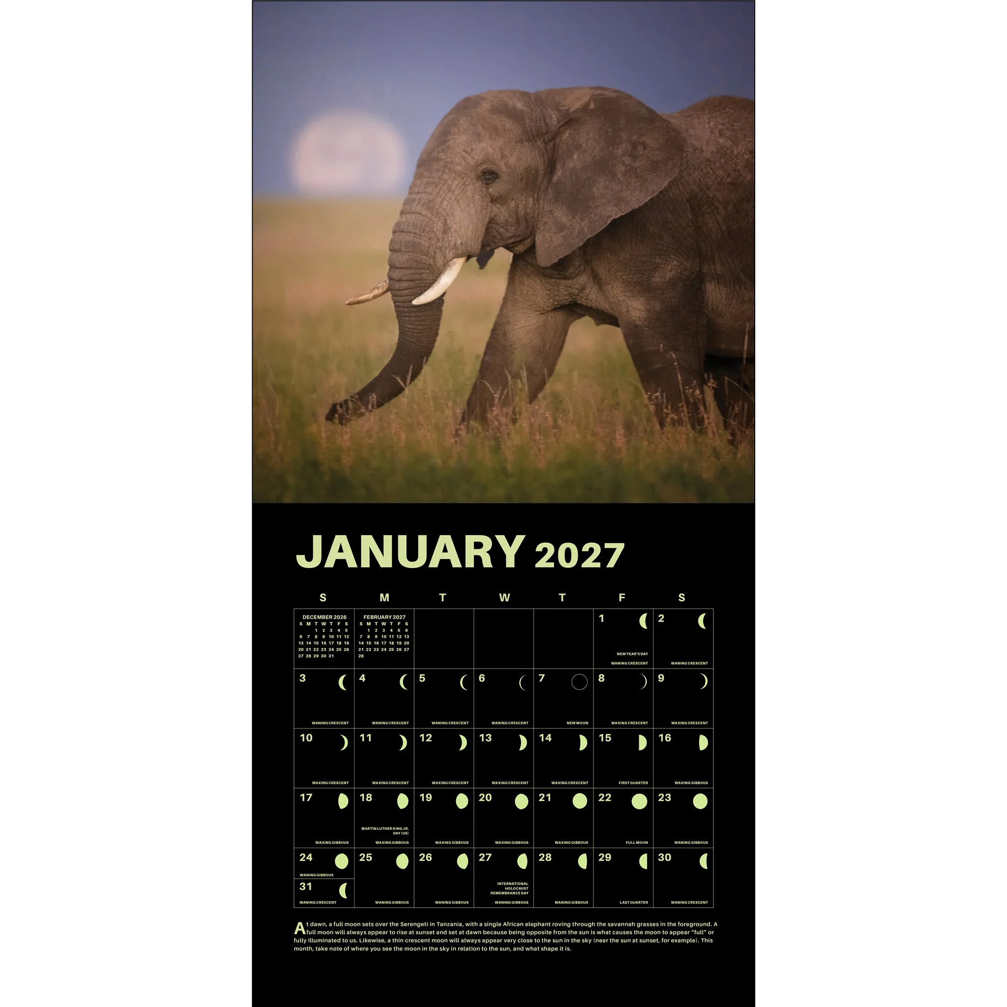 Lunar 2027 Wall Calendar - Image 4