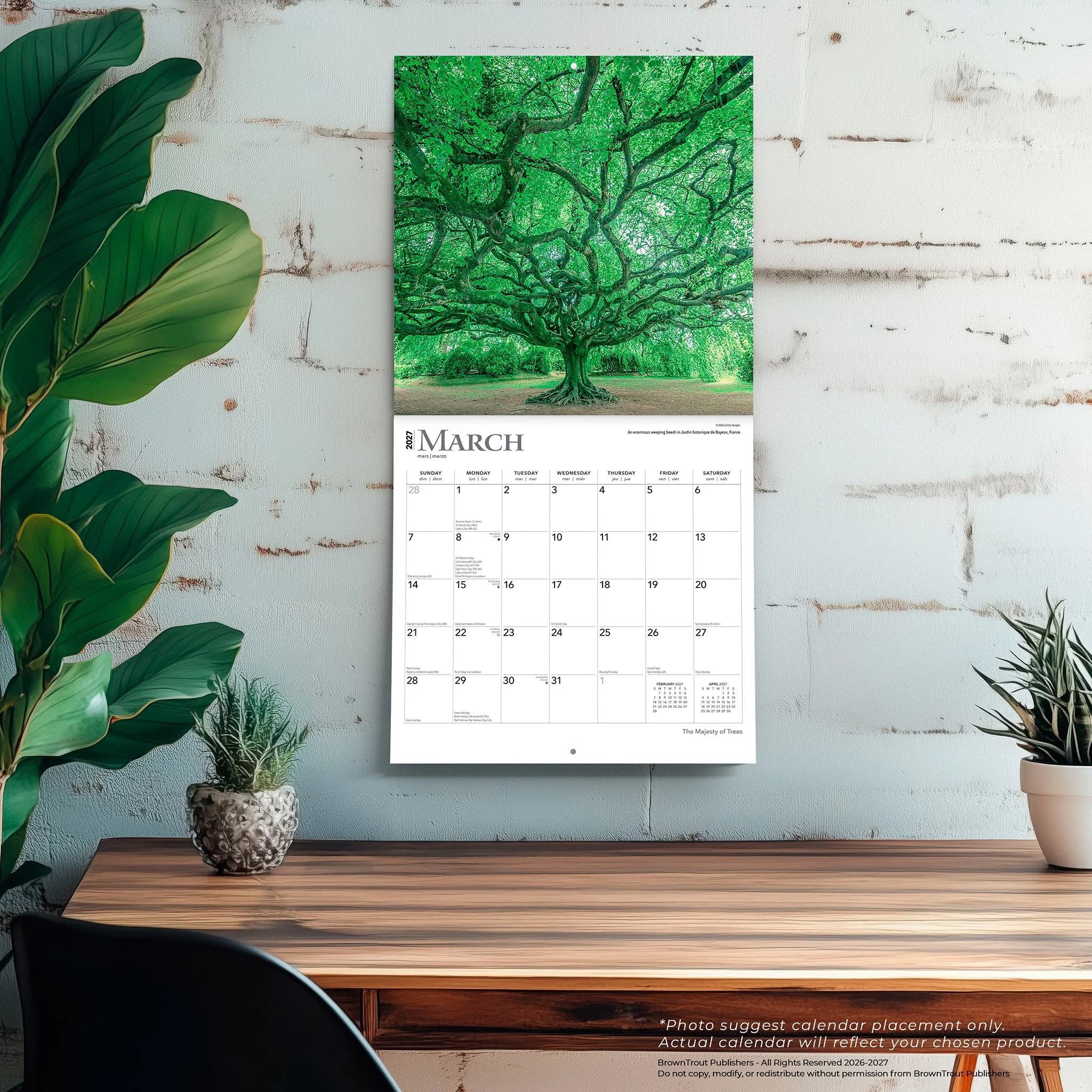 Majesty of Trees 2027 Wall Calendar - Online Only - Image 5