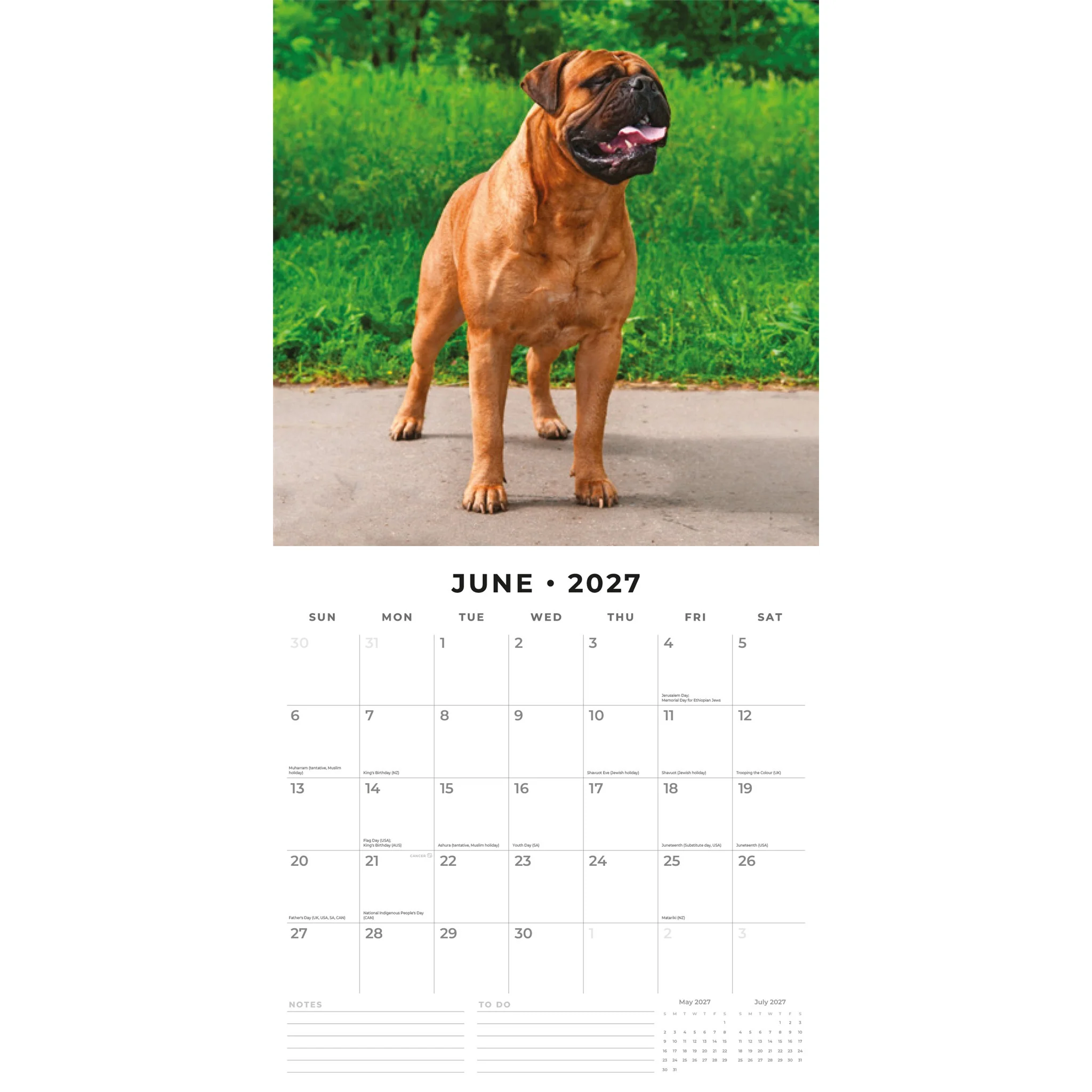 Mastiffs 2027 Wall Calendar - Image 3