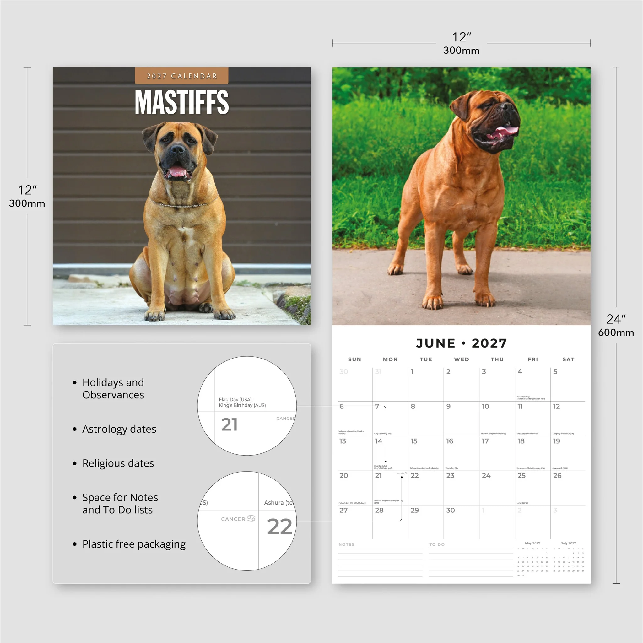 Mastiffs 2027 Wall Calendar - Image 4