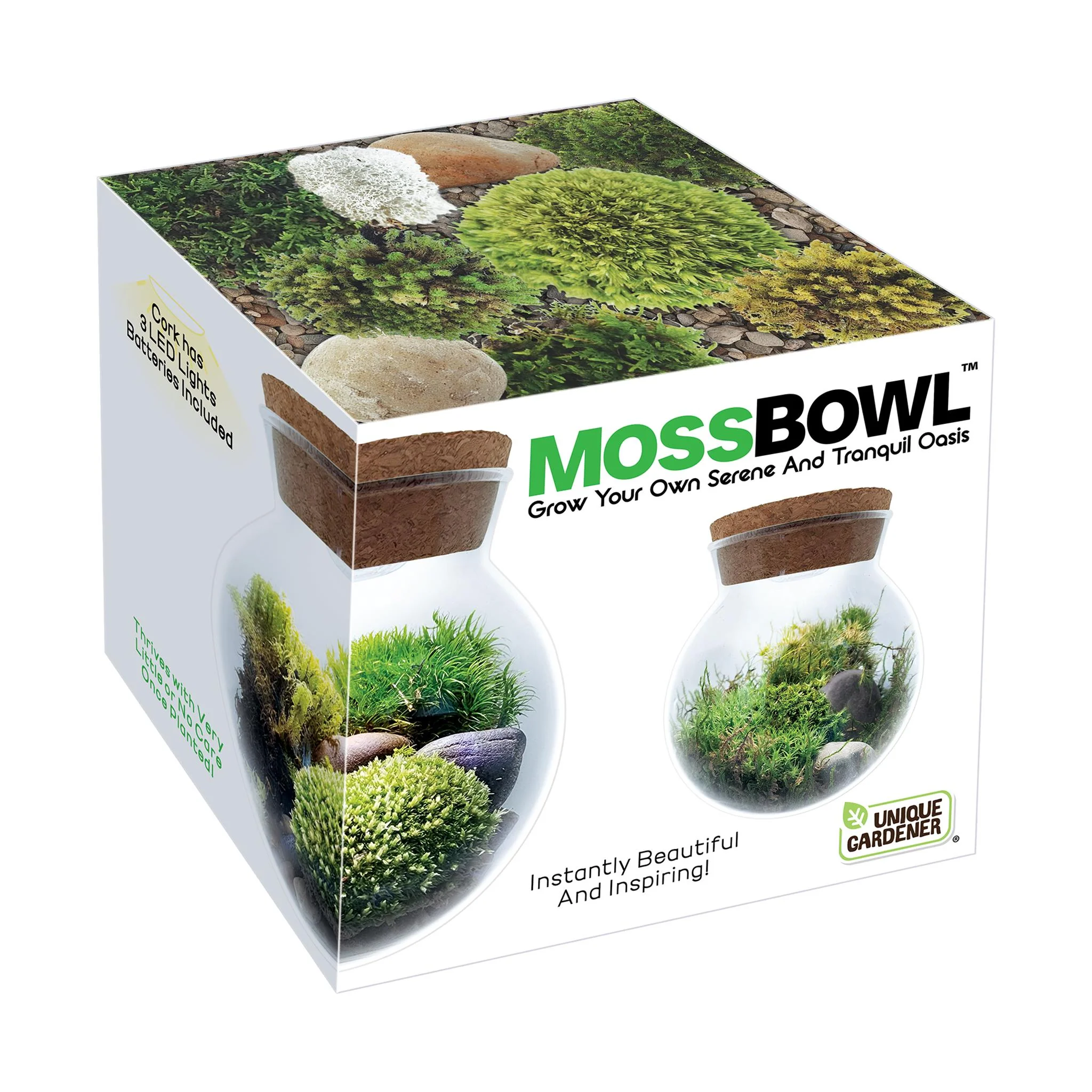 MossBowl - Image 2