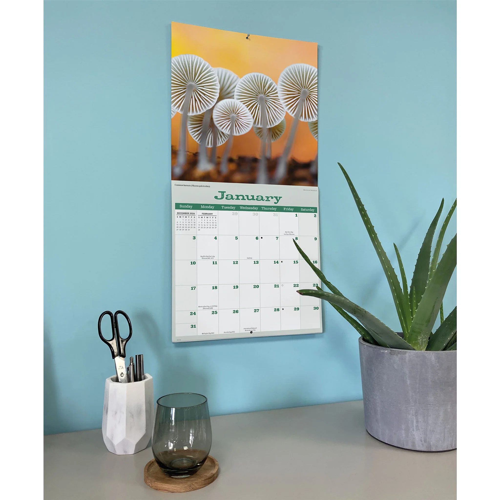 Mushrooms 2027 Wall Calendar - Image 6
