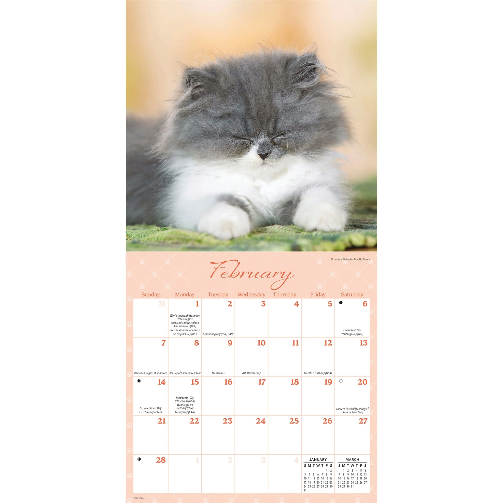 Naptime 2027 Mini Calendar - Image 3