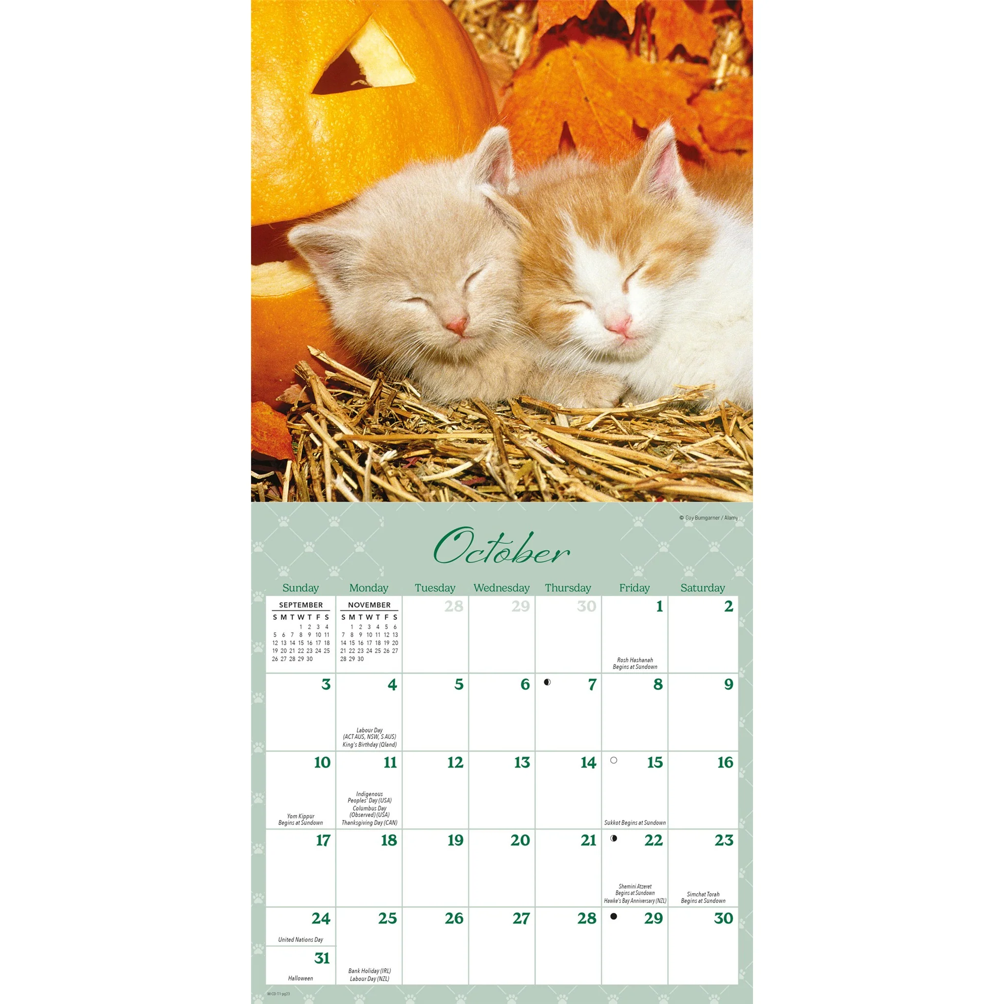 Naptime 2027 Mini Calendar - Image 5