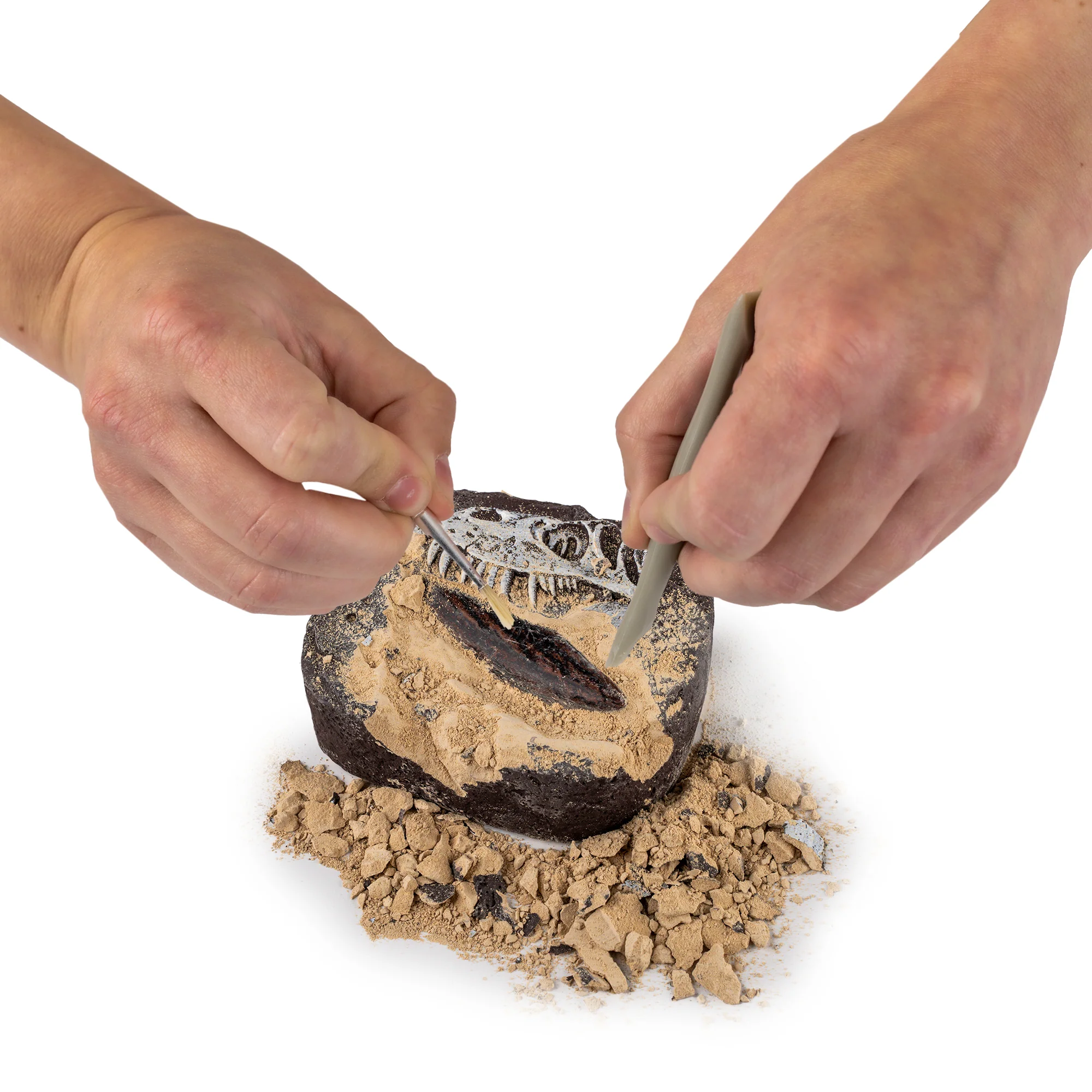 National Geographic Dinosaur Dig Kit - FINAL SALE - Image 4