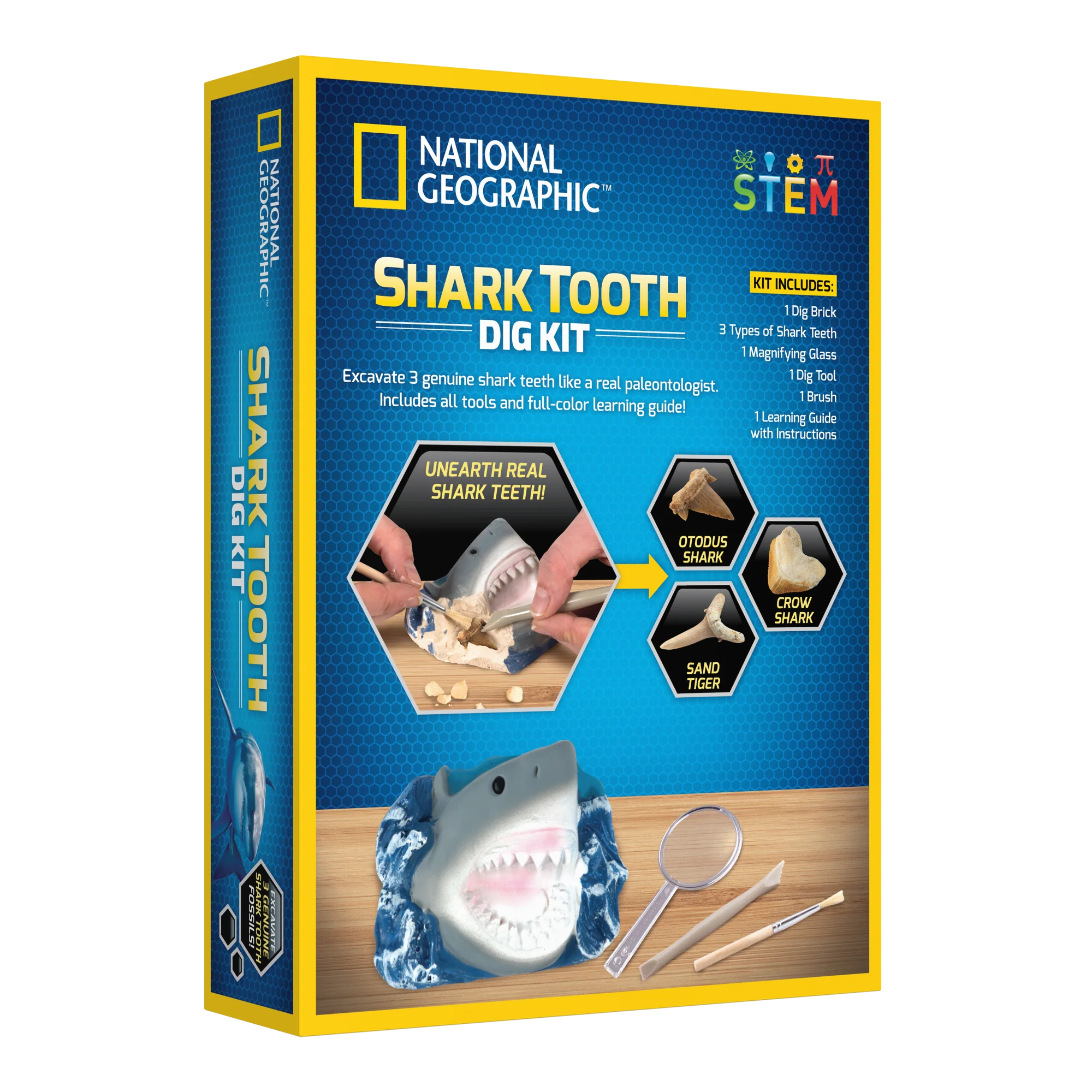 National Geographic Shark Tooth Dig Kit - Image 3