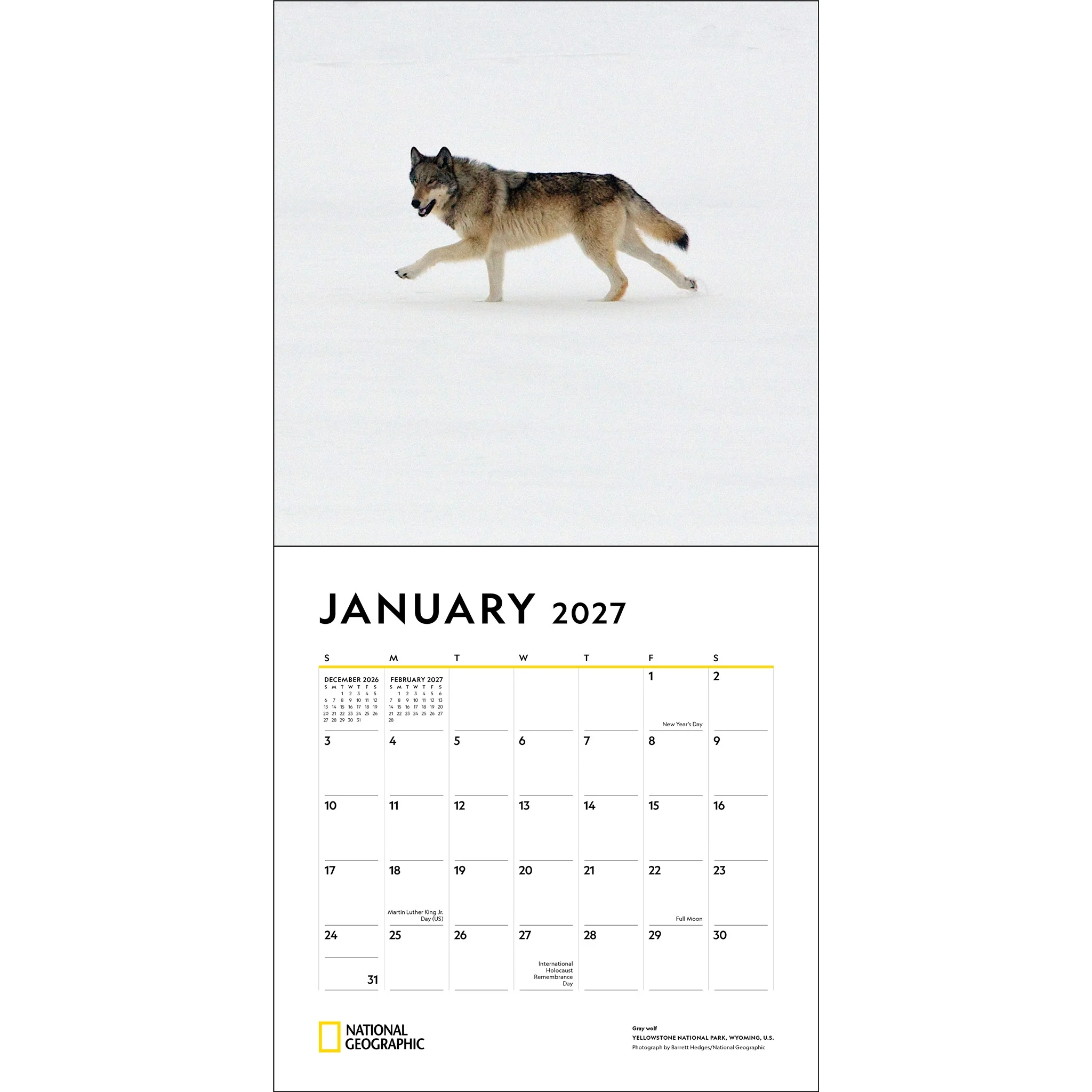 National Geographic: Wolves 2027 Wall Calendar - Image 5
