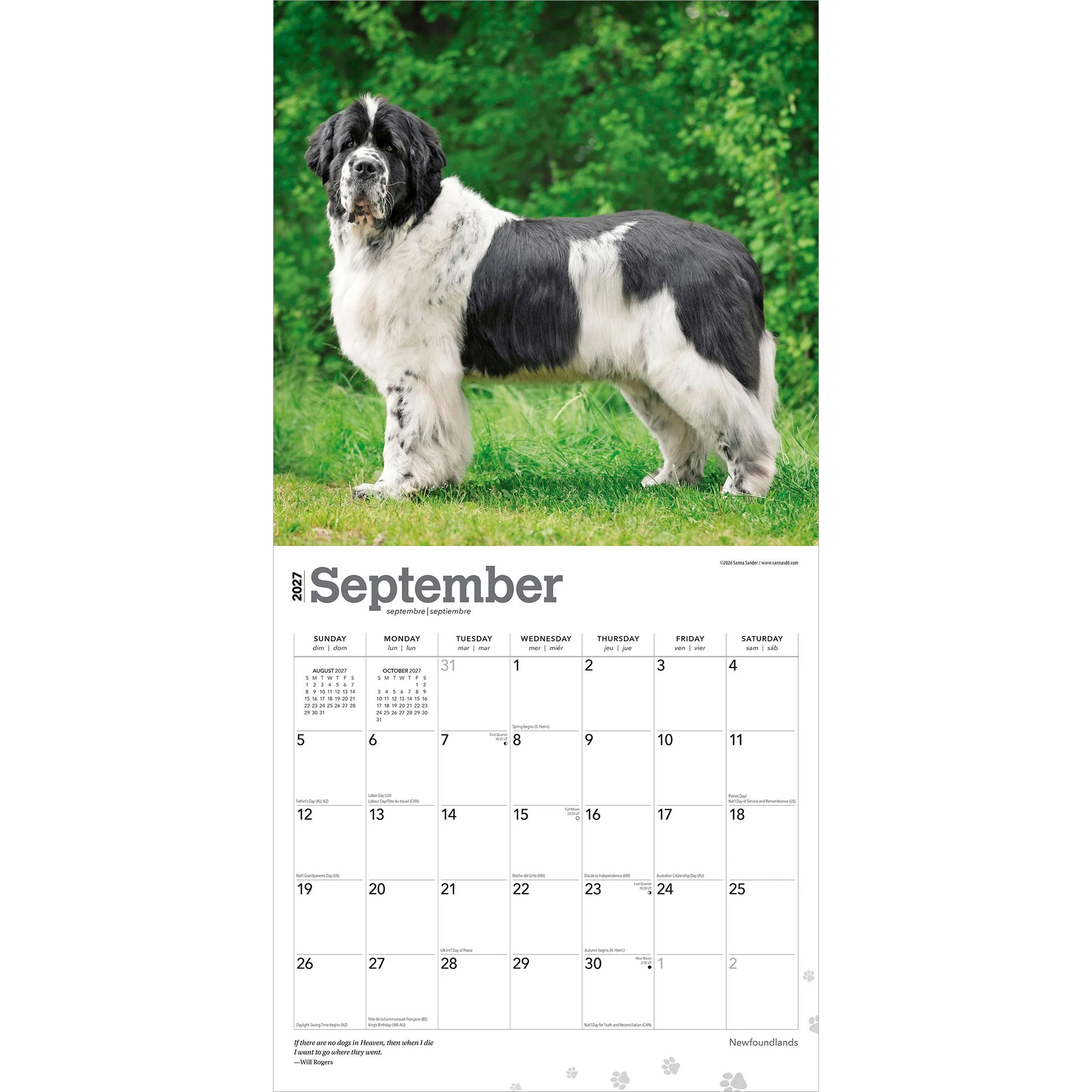 Newfoundlands 2027 Wall Calendar - Image 4