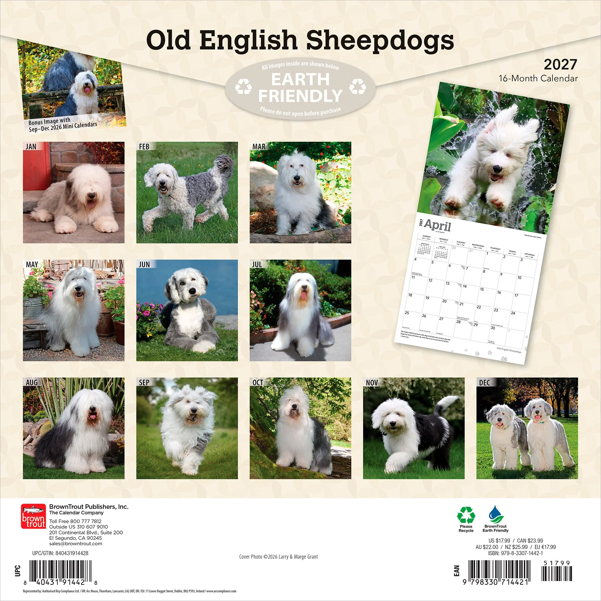 Old English Sheepdogs 2027 Wall Calendar - Image 2