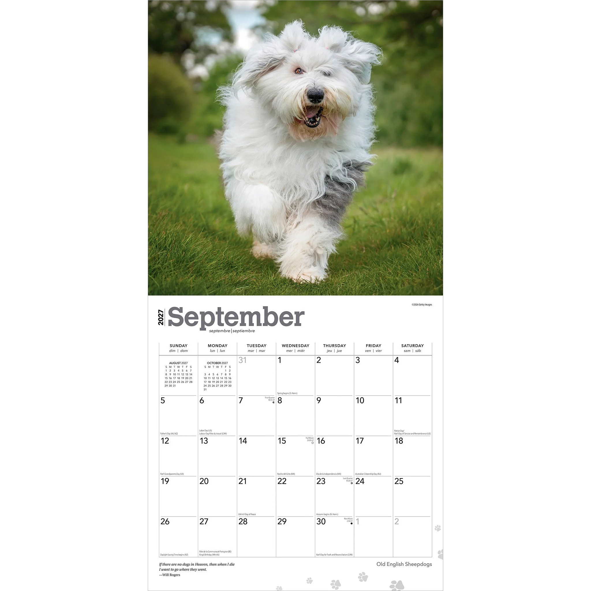 Old English Sheepdogs 2027 Wall Calendar - Image 4