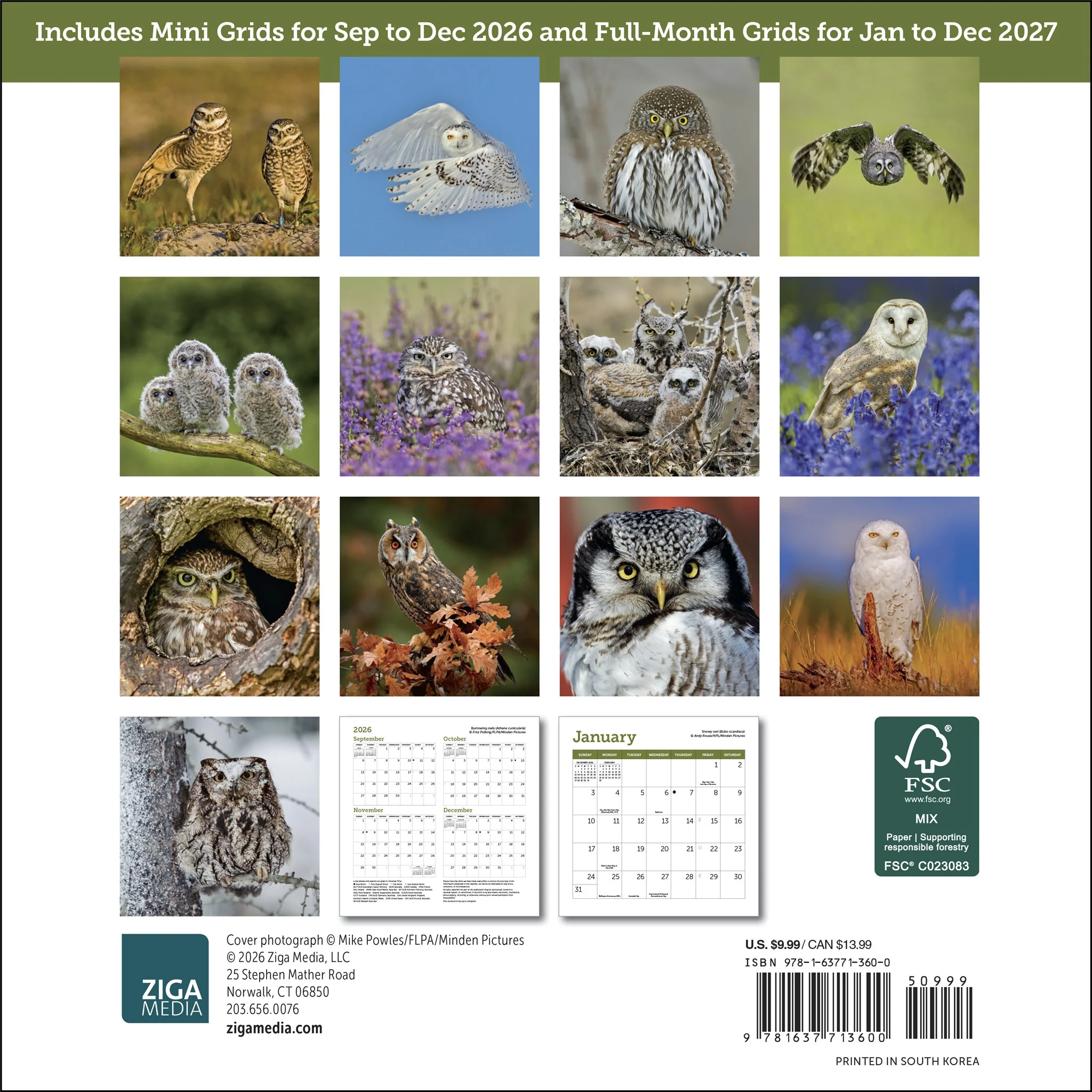 Owls 2027 Mini Calendar - Image 2