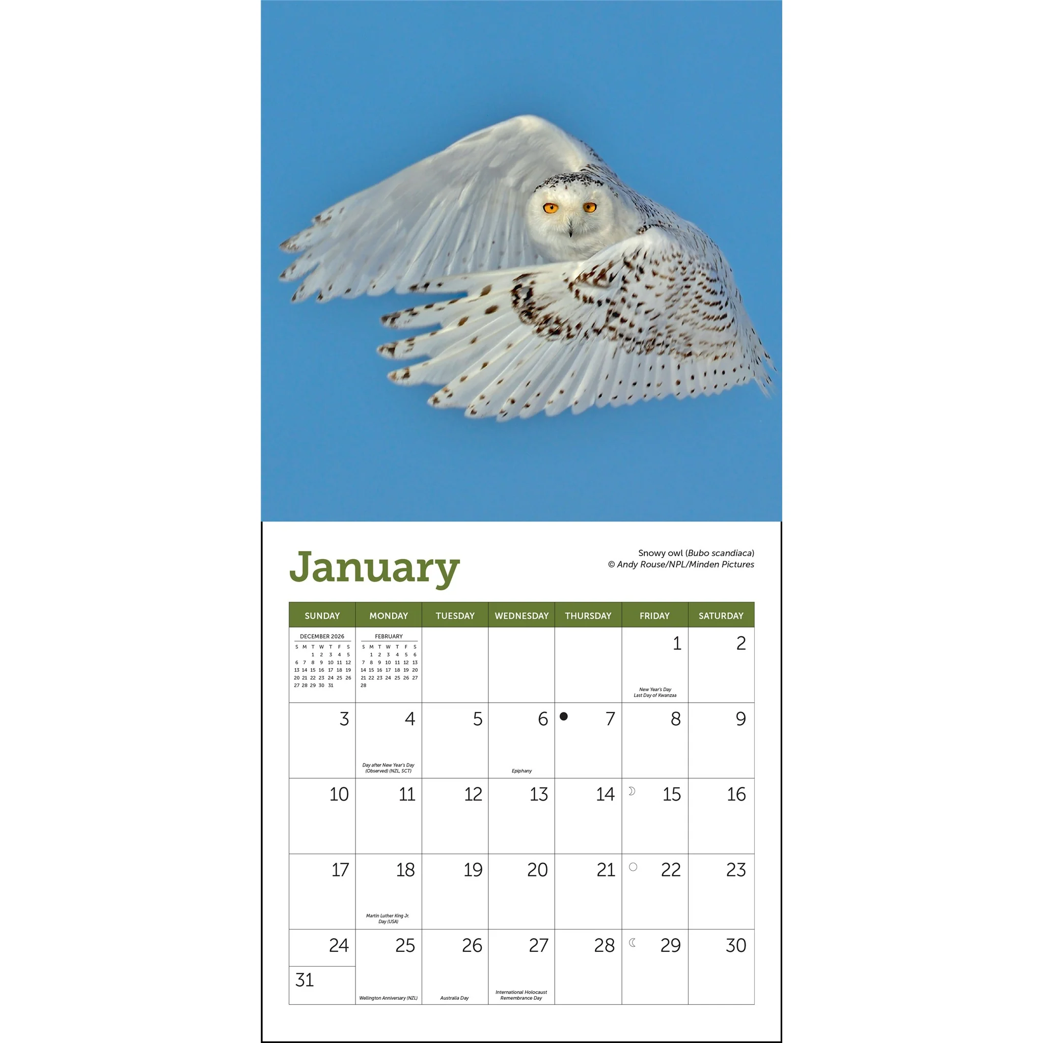 Owls 2027 Mini Calendar - Image 3