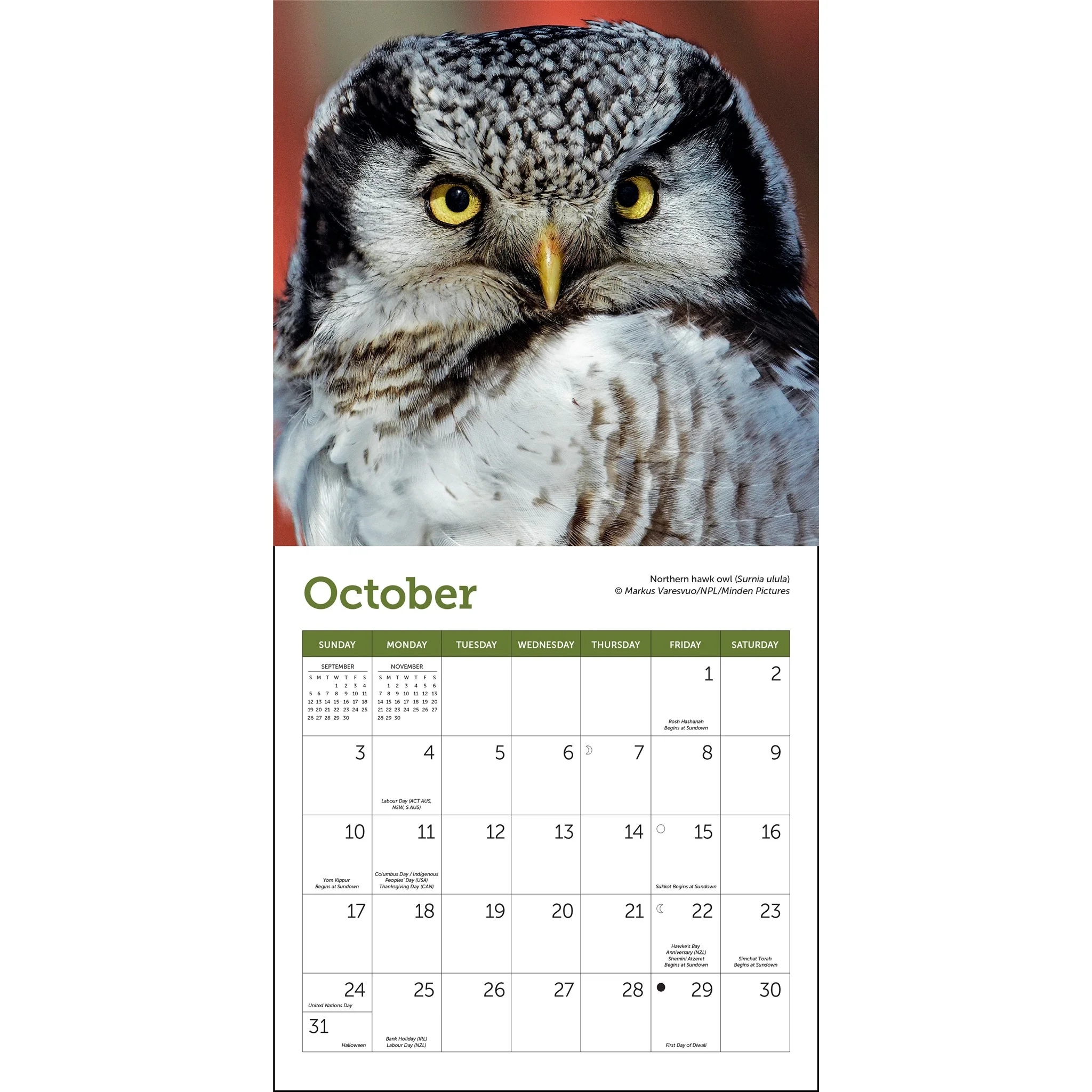 Owls 2027 Mini Calendar - Image 4