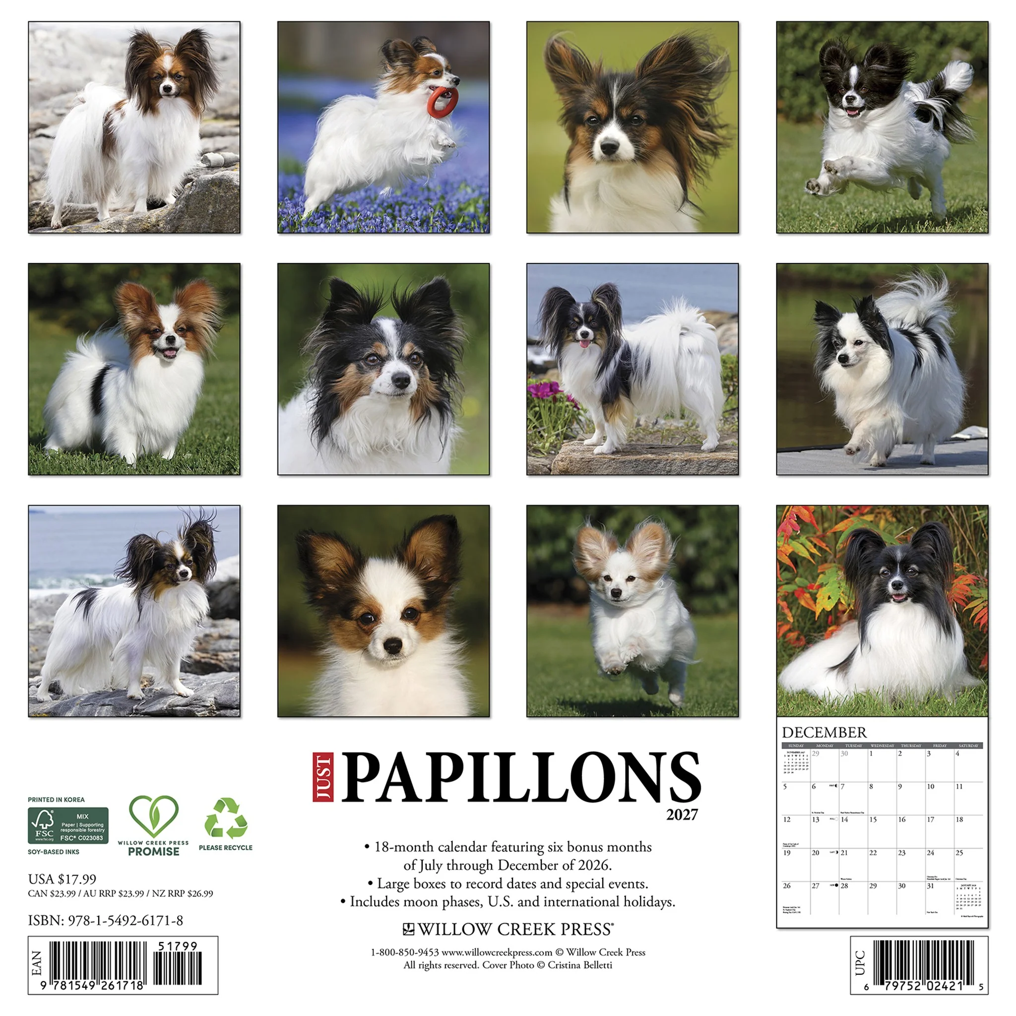 Papillons 2027 Wall Calendar - Image 2