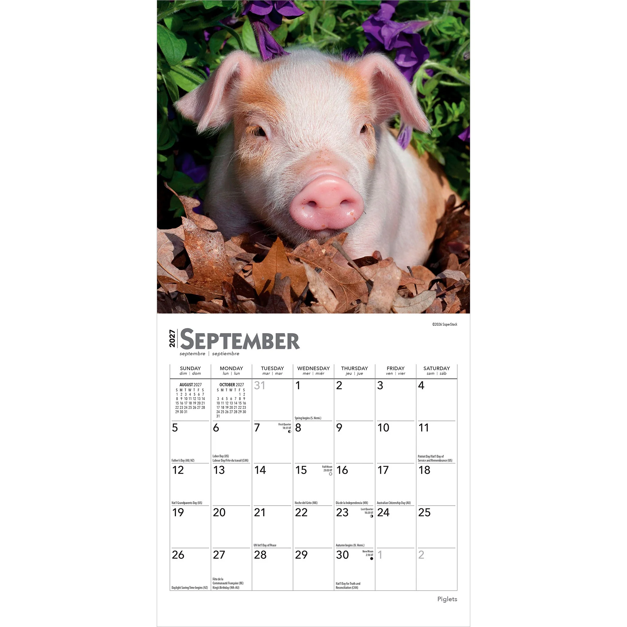 Piglets 2027 Mini Calendar - Image 4