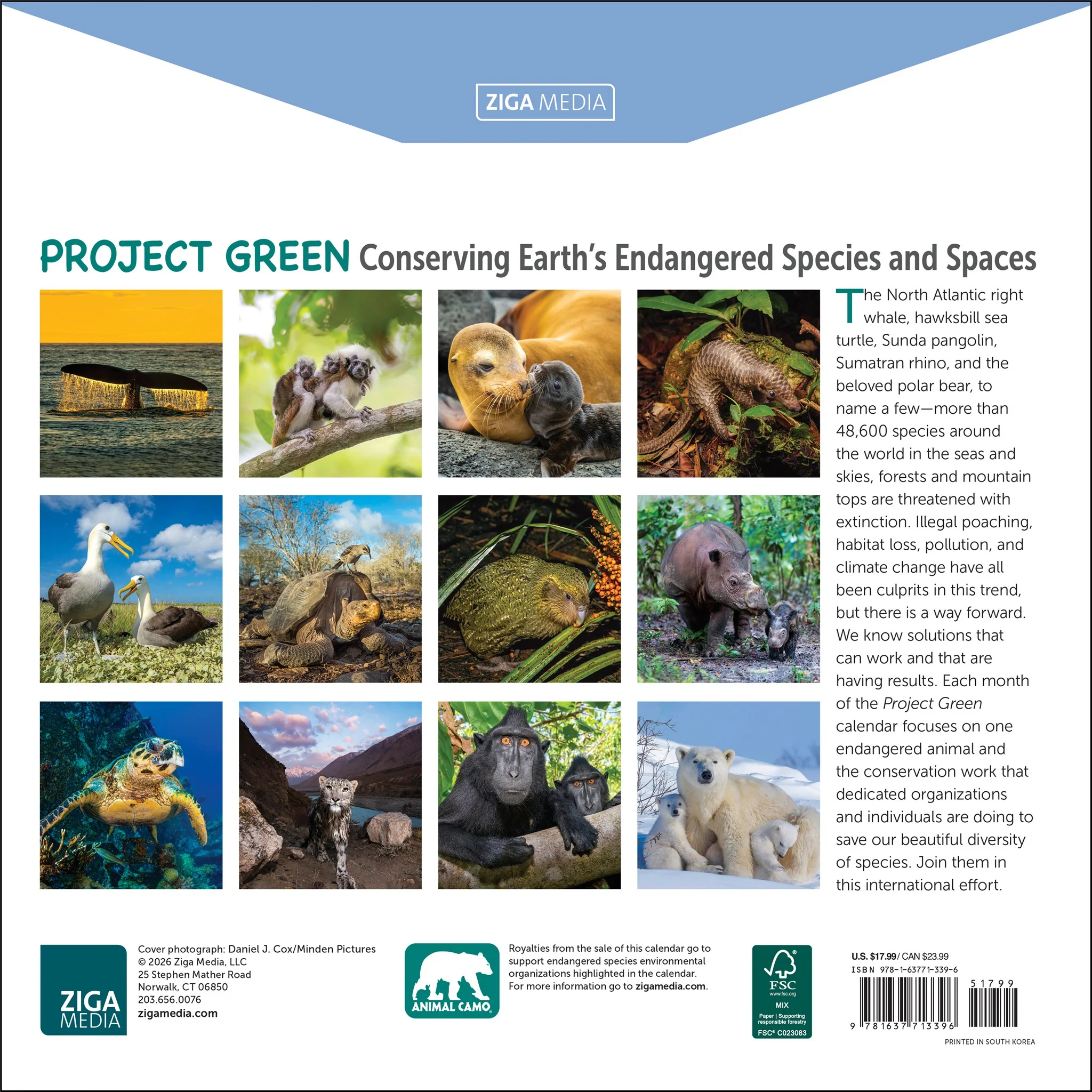 Project Green 2027 Wall Calendar - Image 2