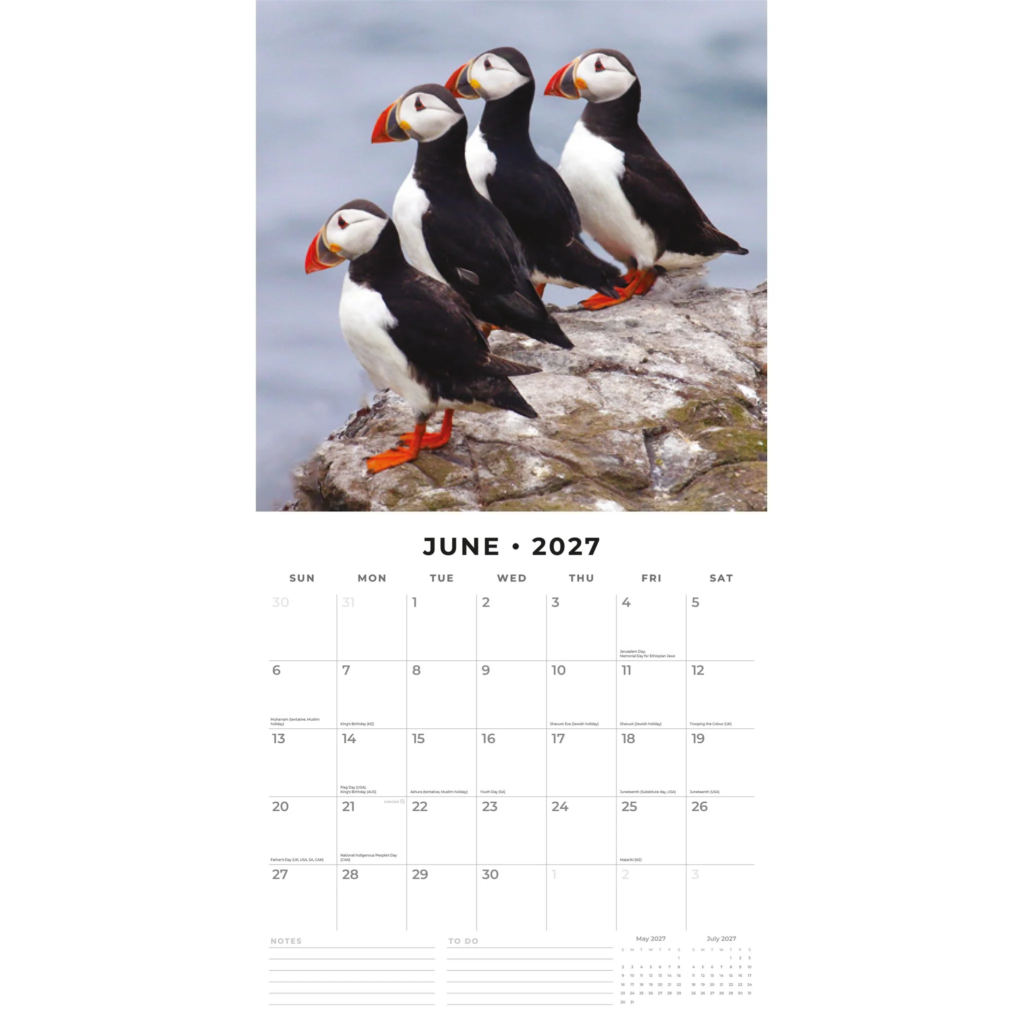 Puffins 2027 Wall Calendar - Image 3