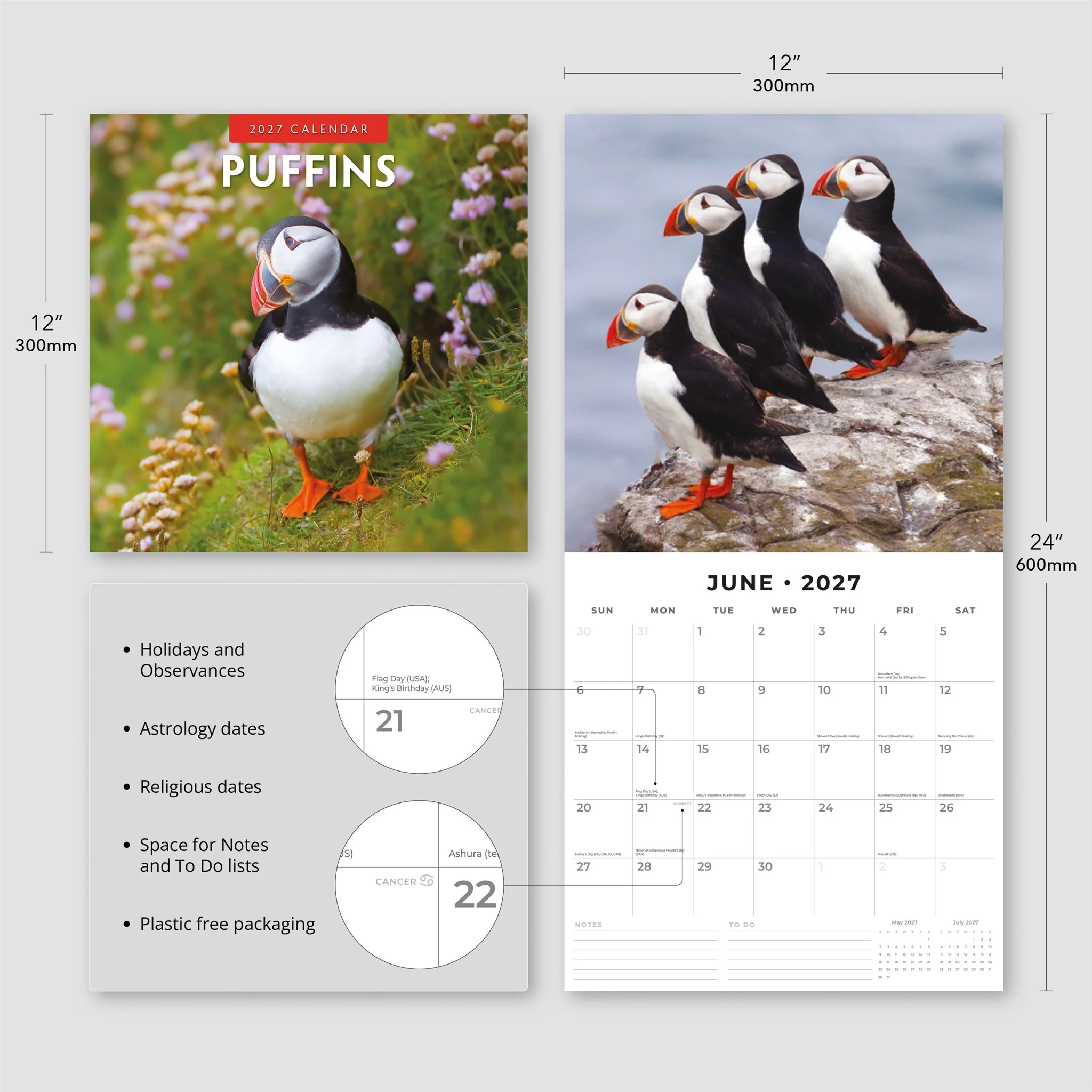 Puffins 2027 Wall Calendar - Image 4