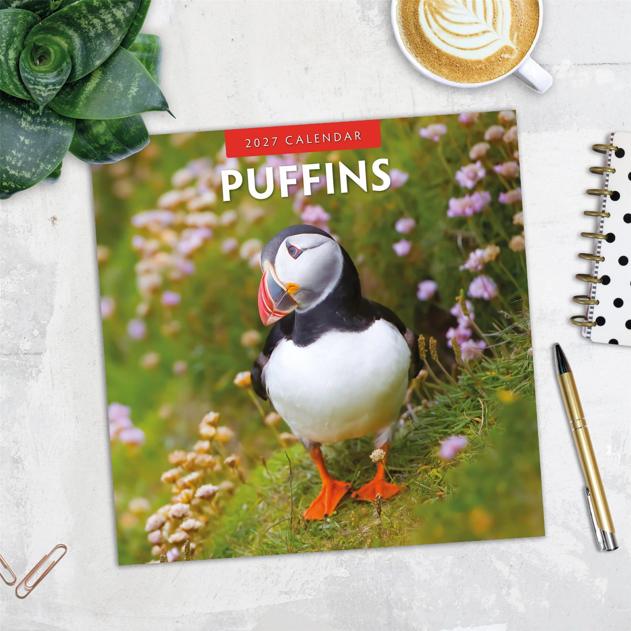 Puffins 2027 Wall Calendar - Image 5