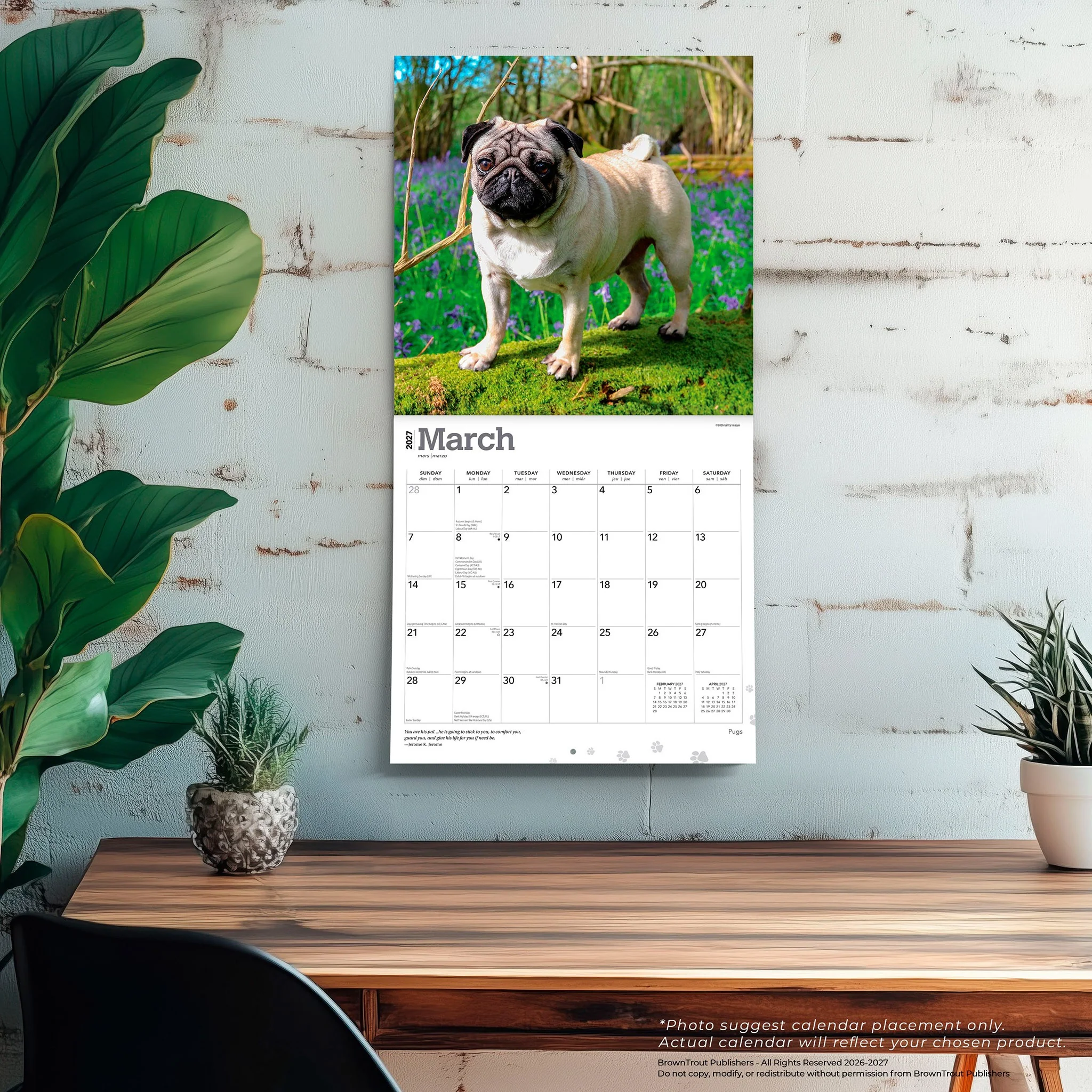 Pugs 2027 Wall Calendar - Image 5