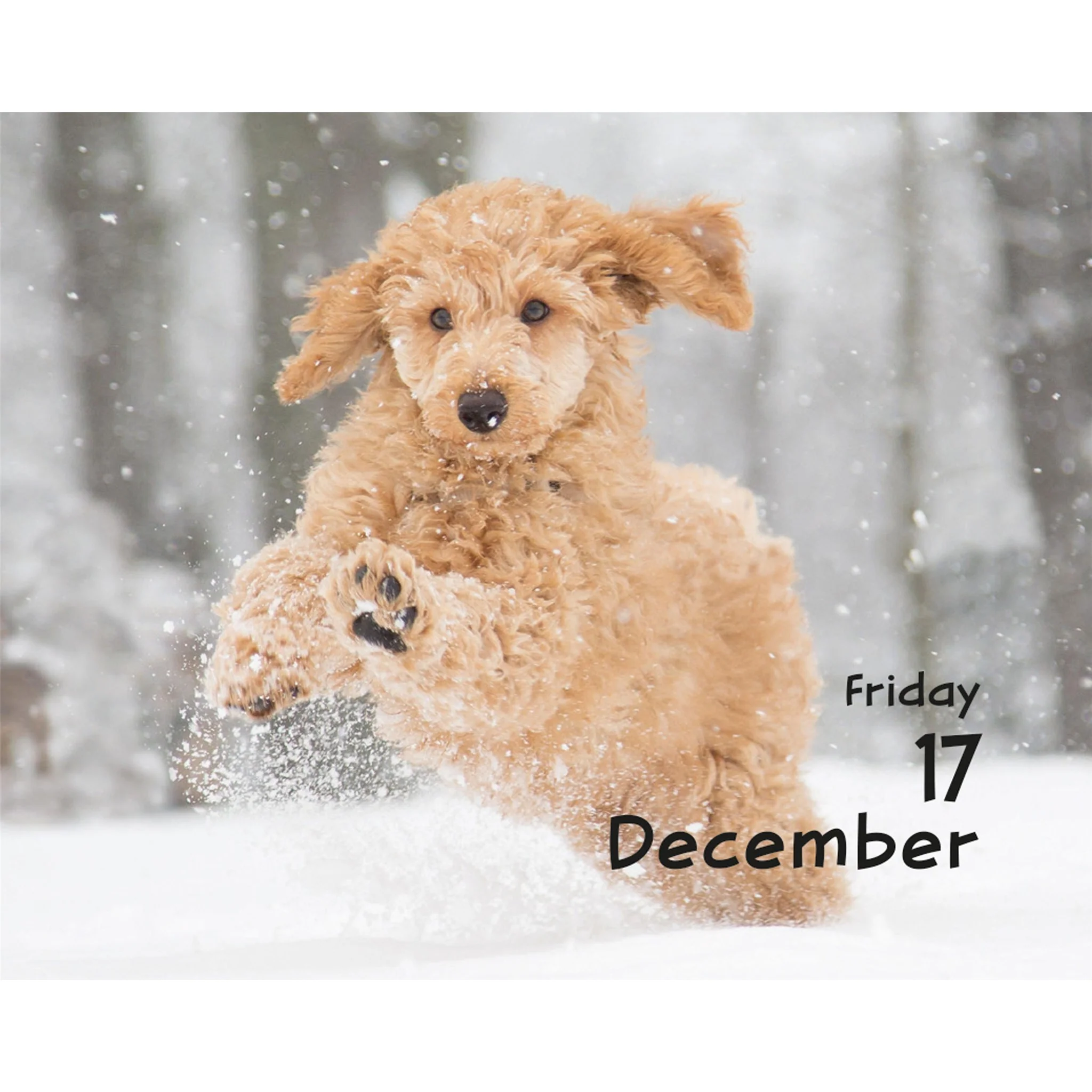 Puppies 2027 Small Box Calendar - Image 5