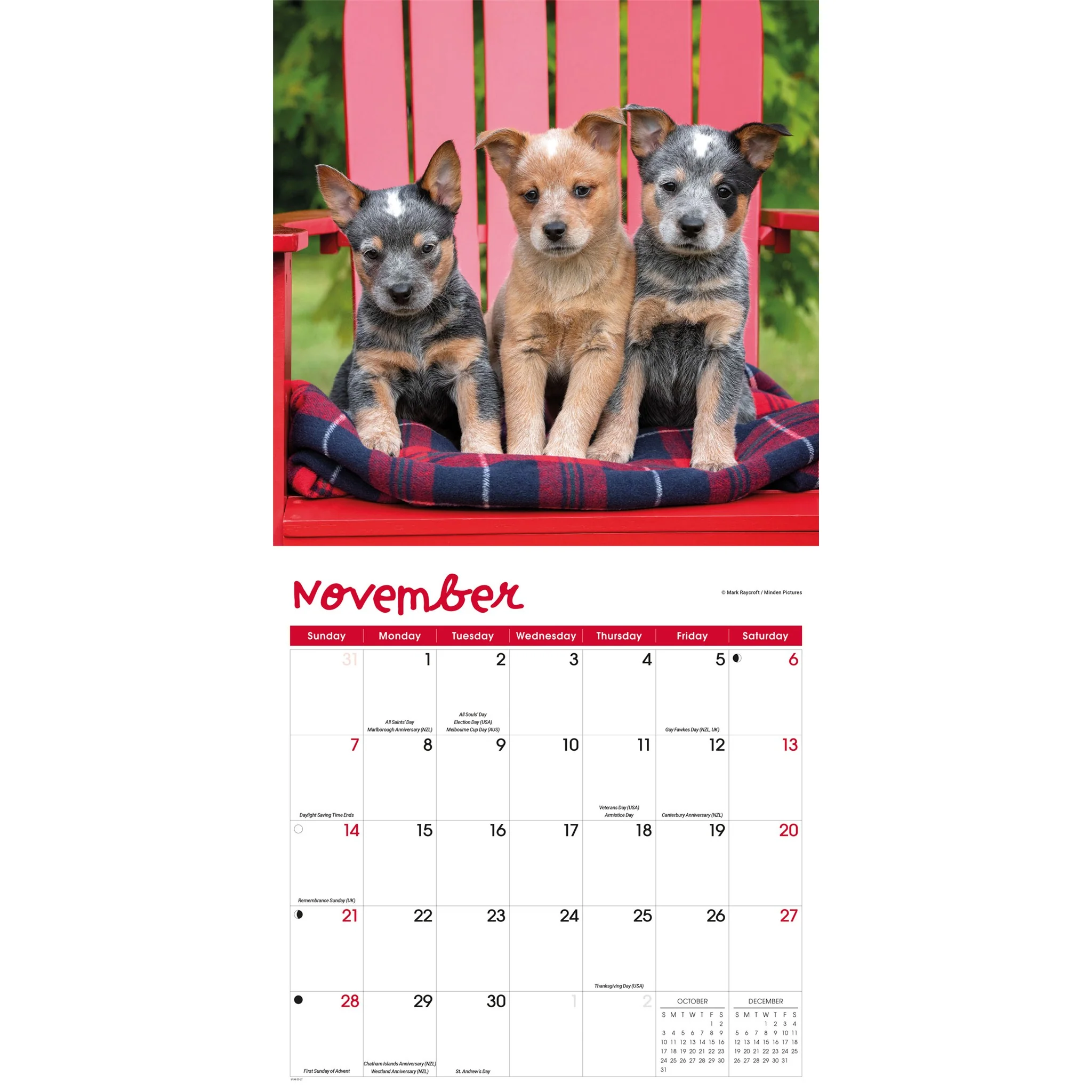 Puppies 2027 Wall Calendar - Image 5