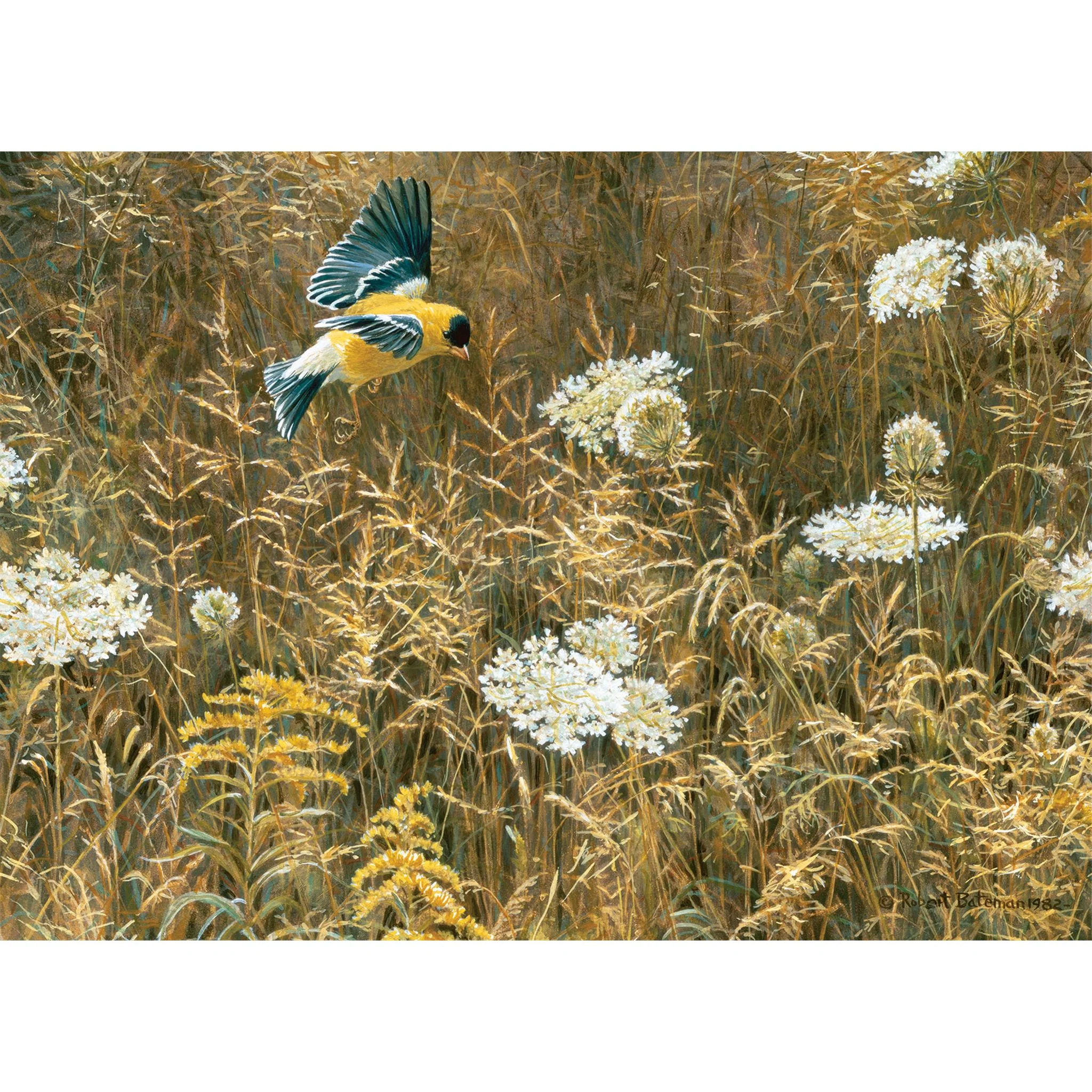 Queen Anne's Lace & American Goldfinch 500 Piece Puzzle Cobble Hill - Image 3