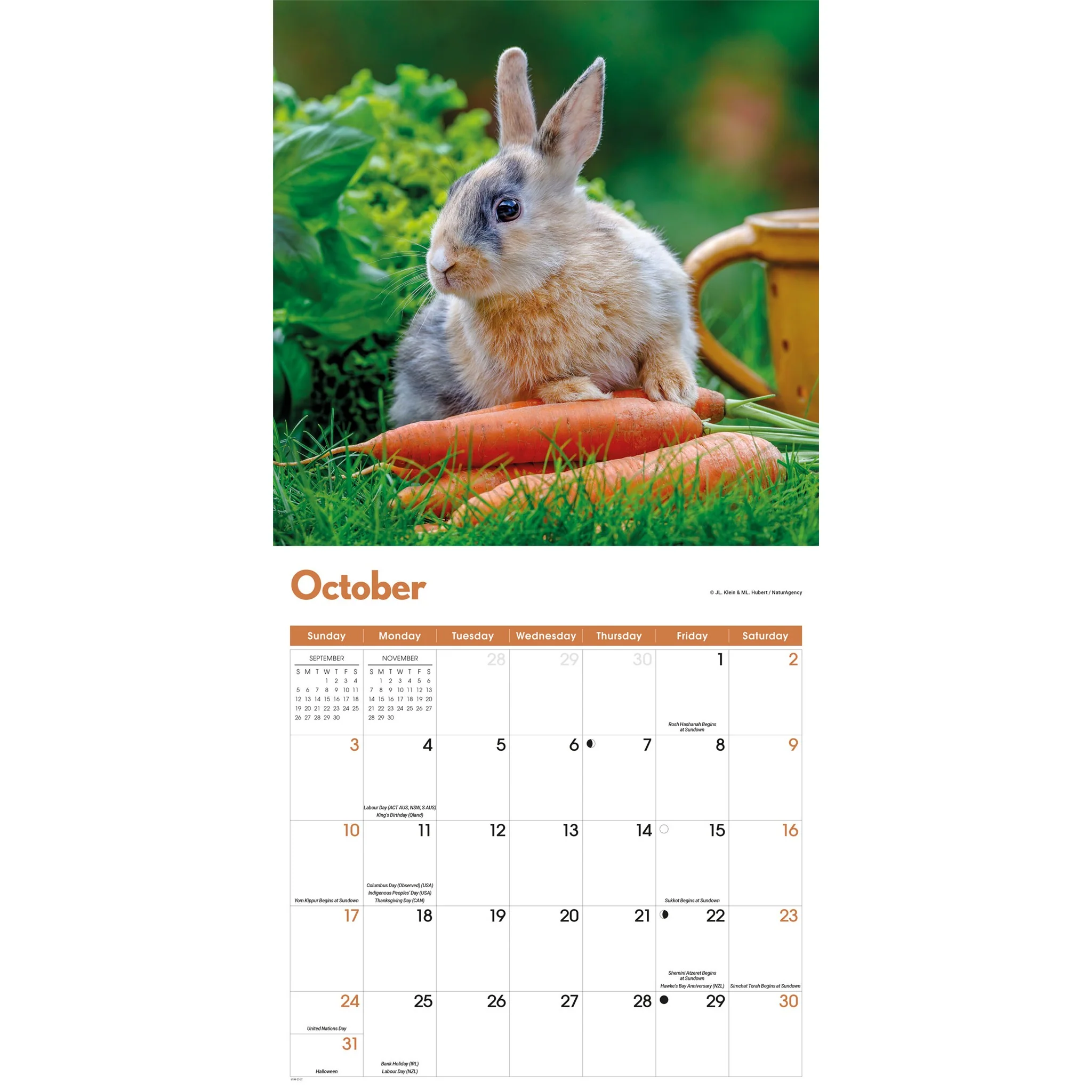 Rabbits 2027 Wall Calendar - Image 5