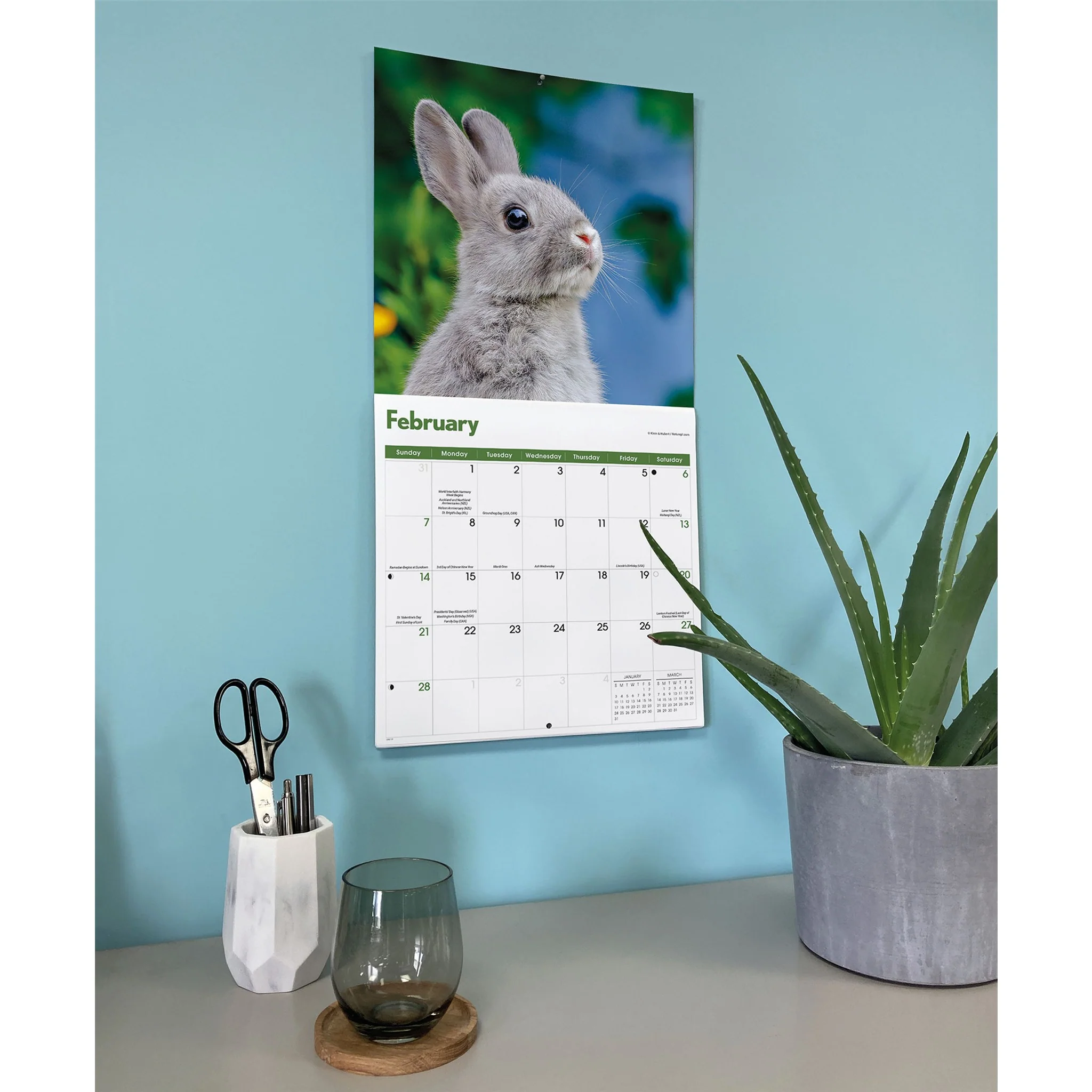 Rabbits 2027 Wall Calendar - Image 6